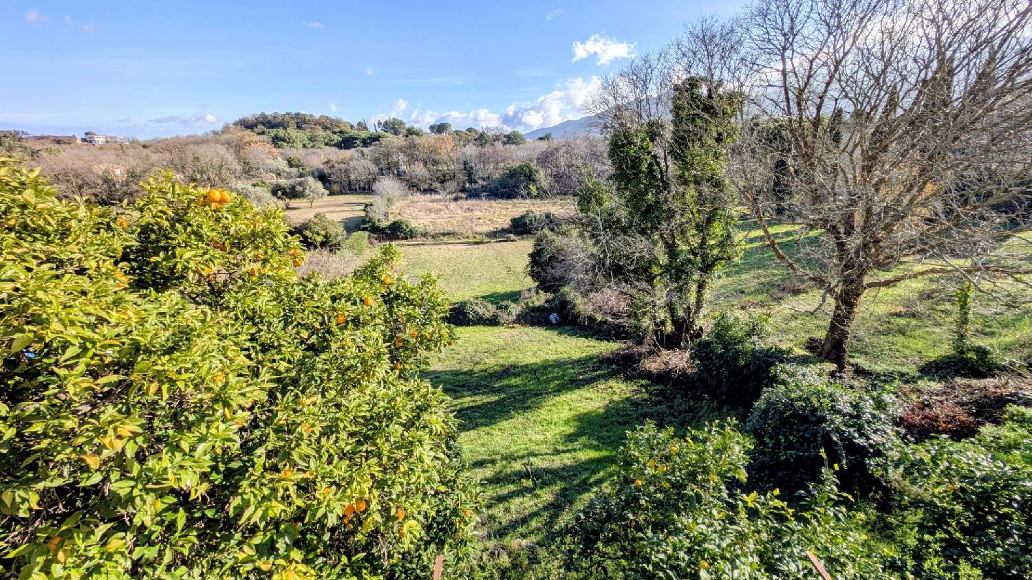 kaufen Villa Laroque-des-Albères Pyrénées-Orientales 3