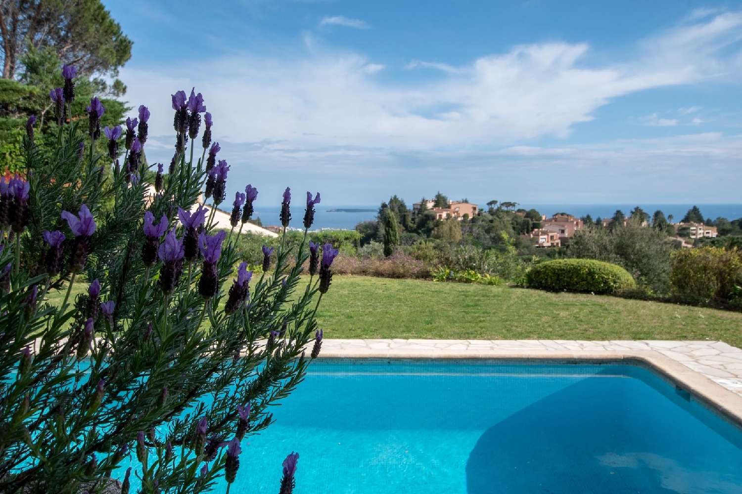 for sale villa Mandelieu-la-Napoule Alpes-Maritimes 3