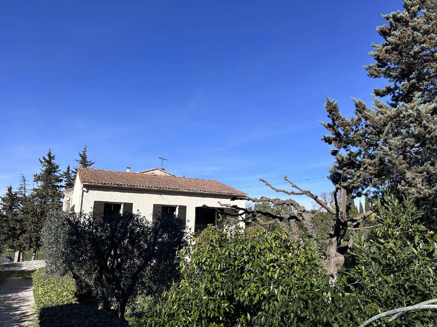  te koop villa Mas-Blanc-des-Alpilles Bouches-du-Rhône 2