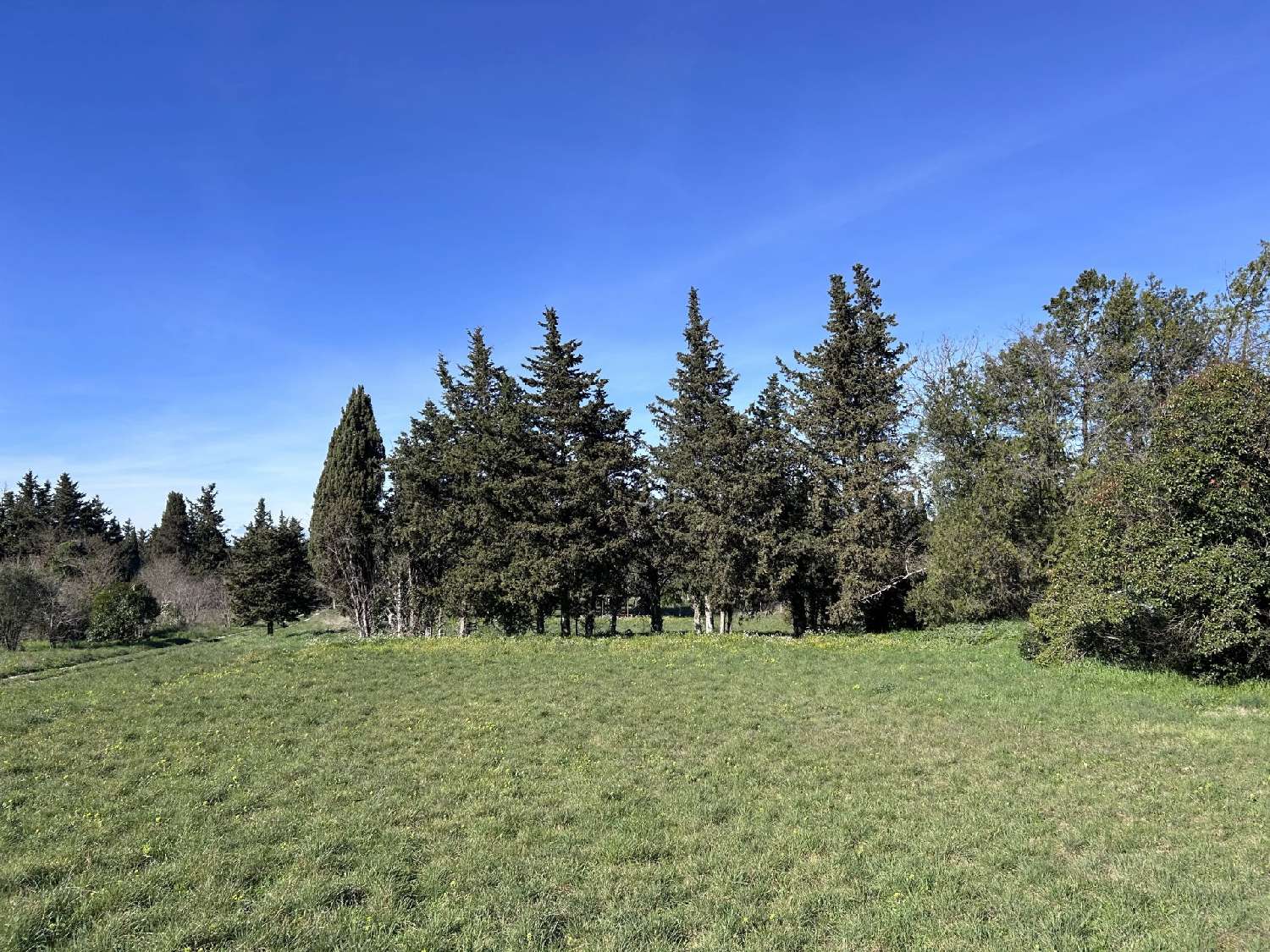  te koop villa Mas-Blanc-des-Alpilles Bouches-du-Rhône 4