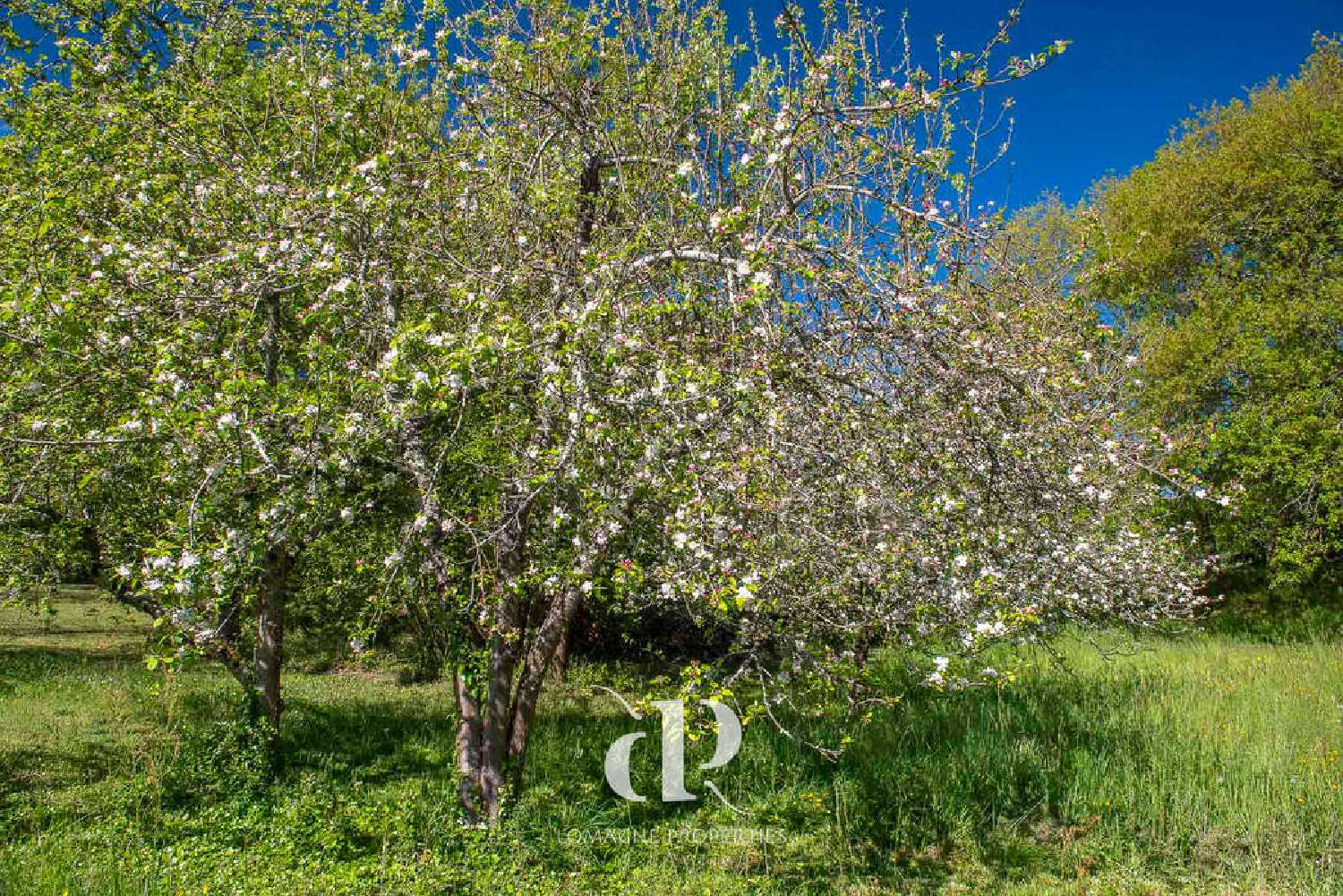  à vendre villa Mauvezin Gers 4