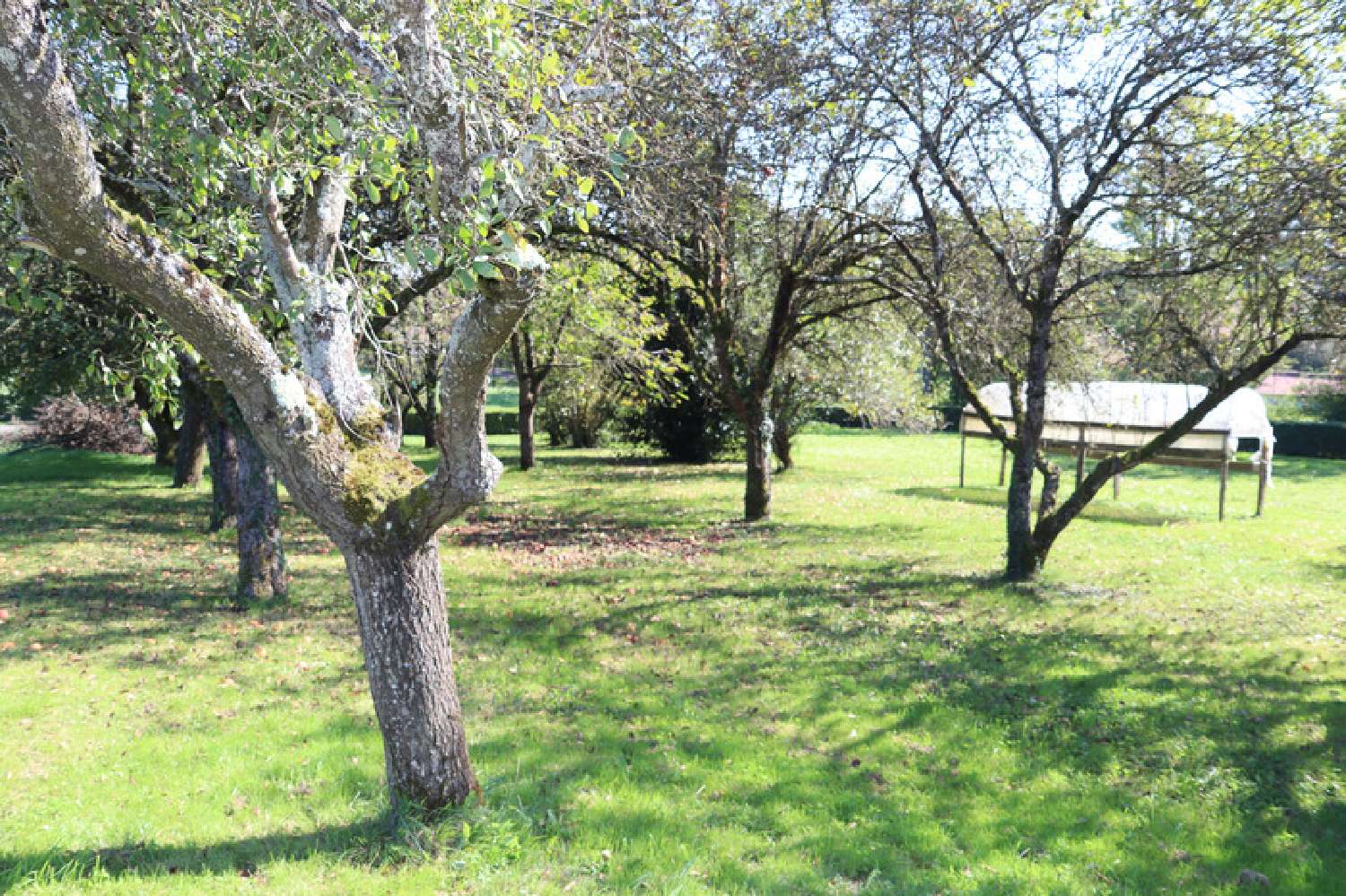  for sale villa Ménétreuil Saône-et-Loire 4