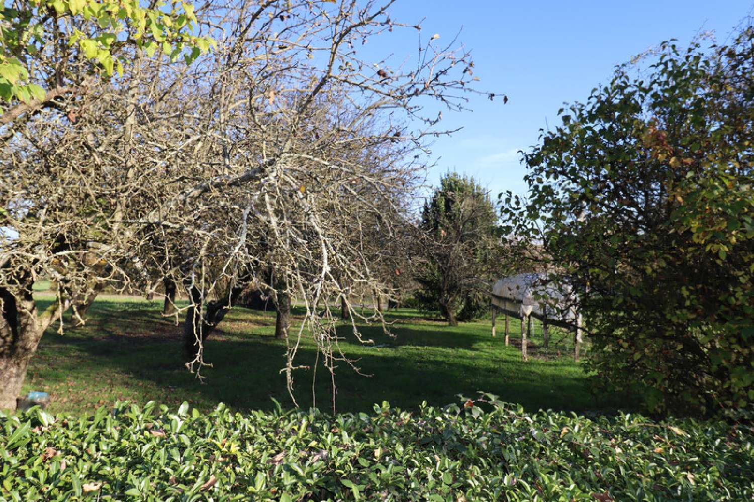  for sale villa Ménétreuil Saône-et-Loire 6