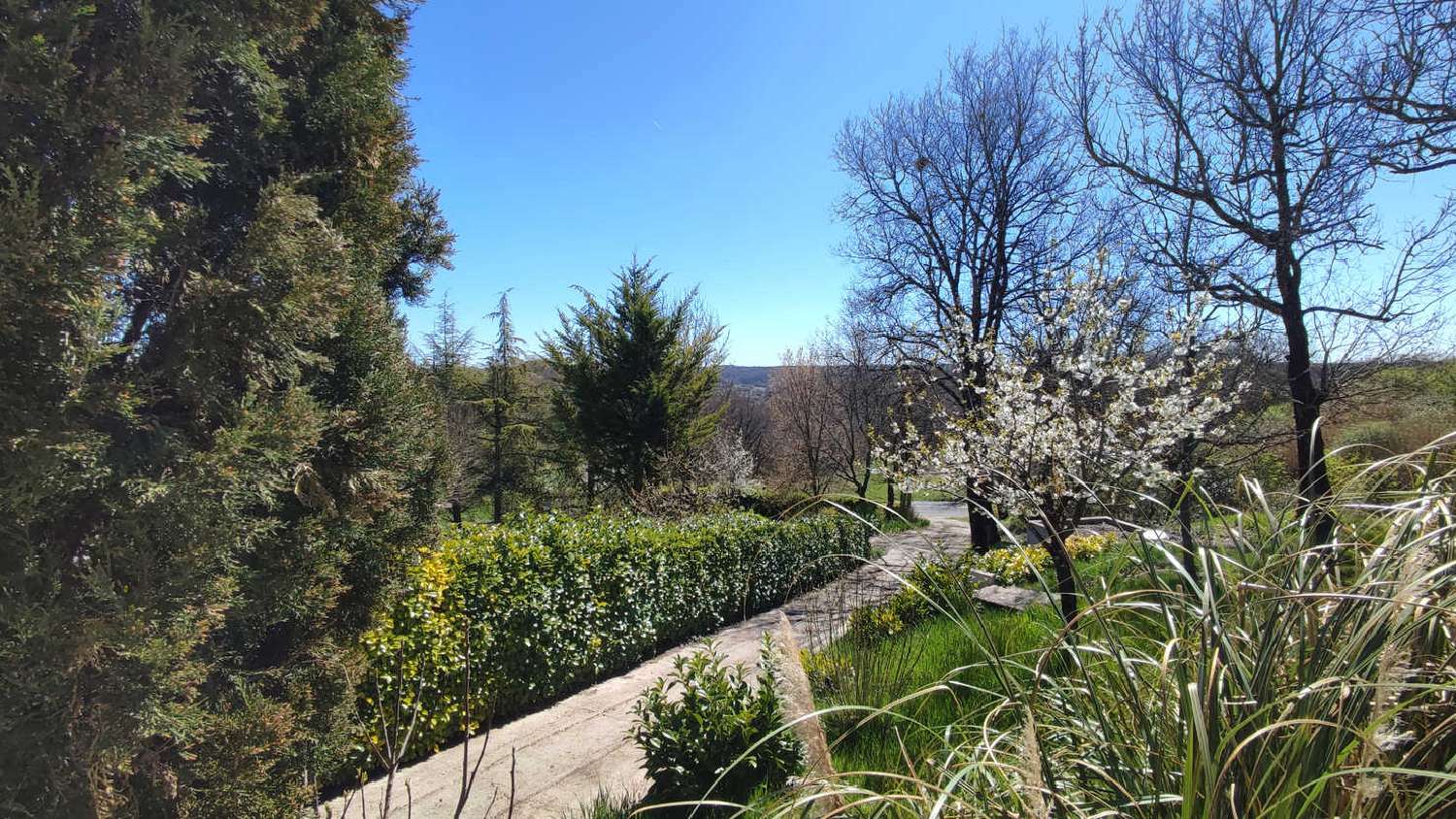  for sale villa Montaigu-de-Quercy Tarn-et-Garonne 8