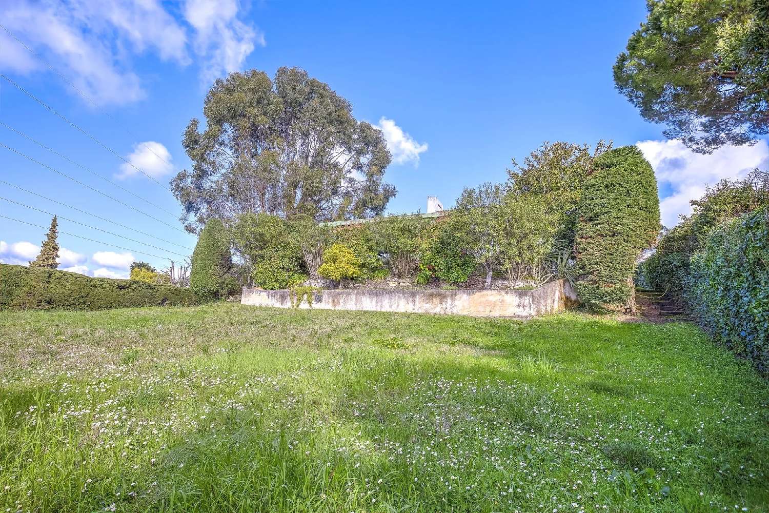  kaufen Villa Mougins Alpes-Maritimes 3