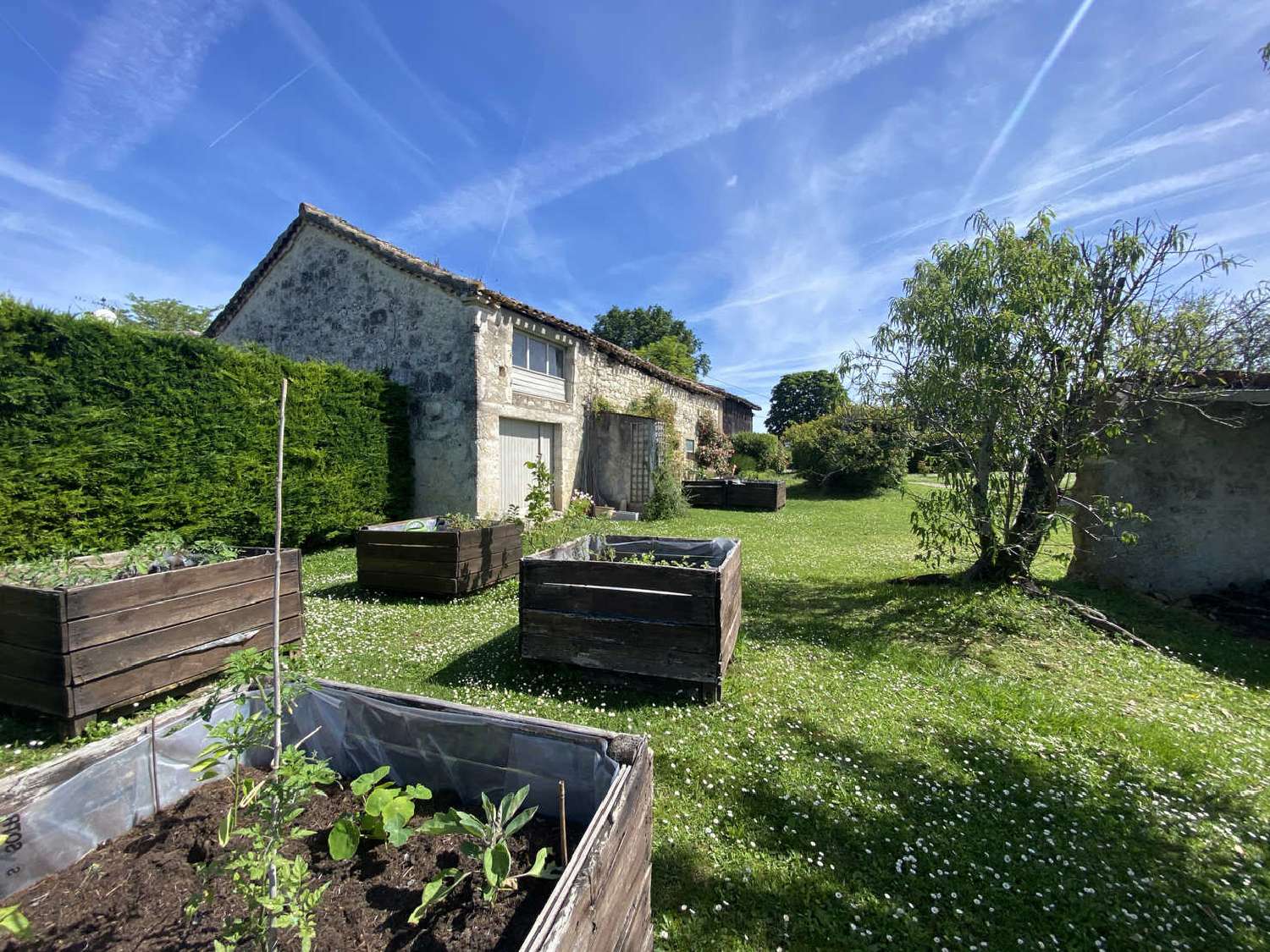  en venta villa Saint-Maurin Lot-et-Garonne 8