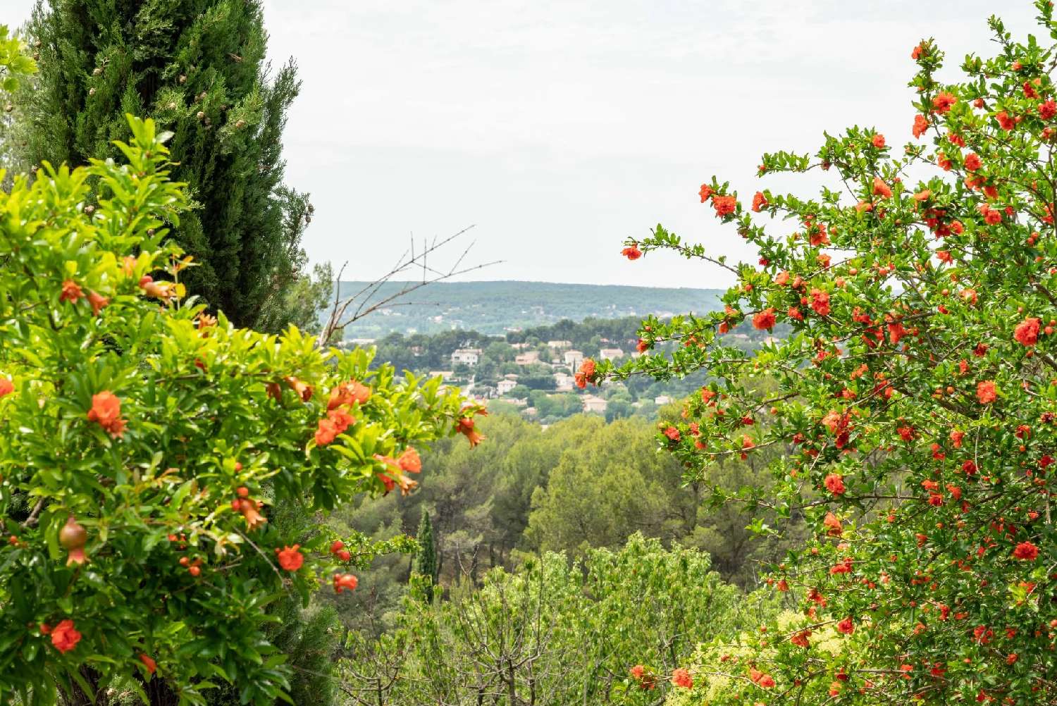 à vendre villa Simiane-Collongue Bouches-du-Rhône 8