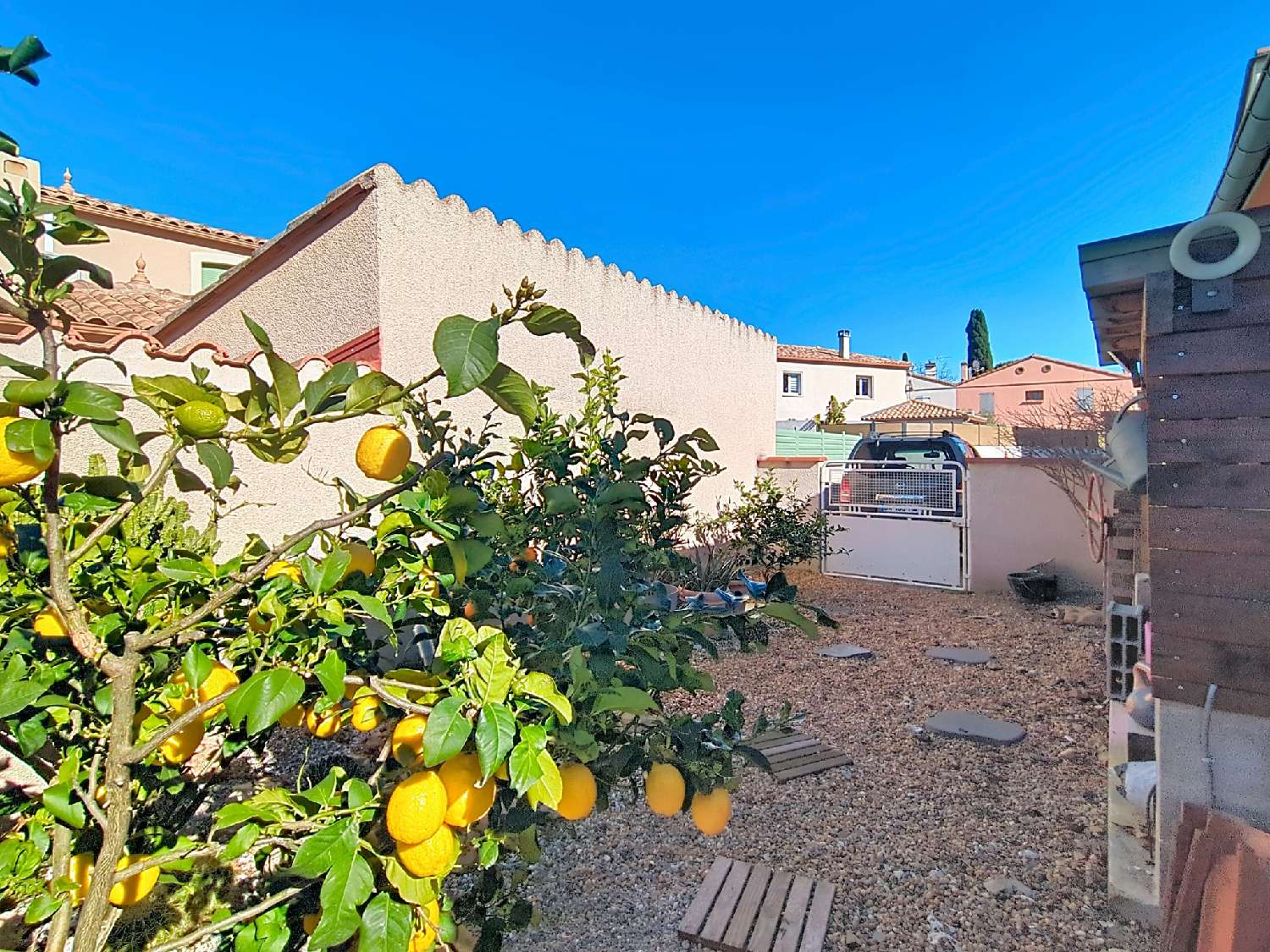  kaufen Villa Sorède Pyrénées-Orientales 3