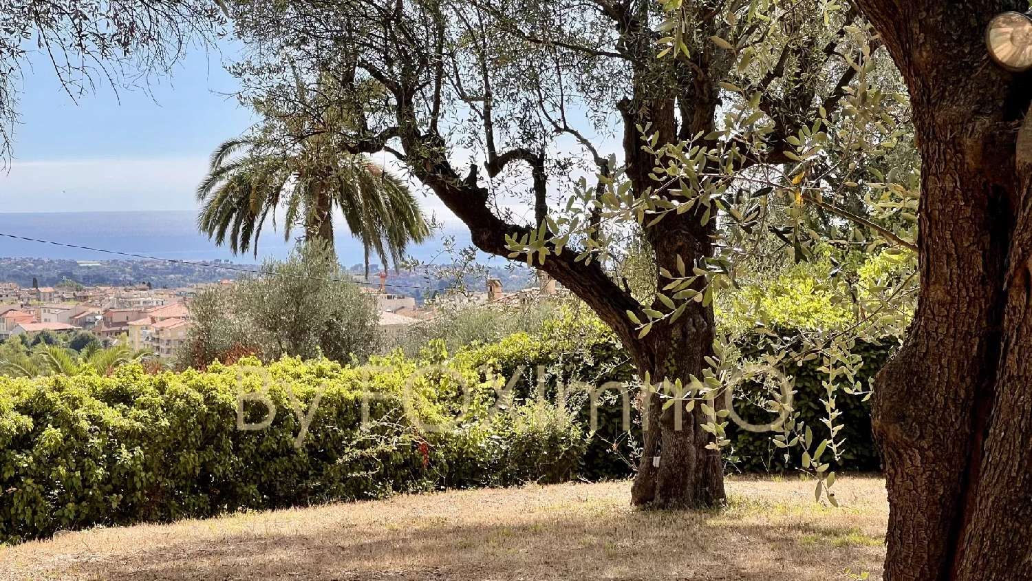 à vendre villa Vence Alpes-Maritimes 1