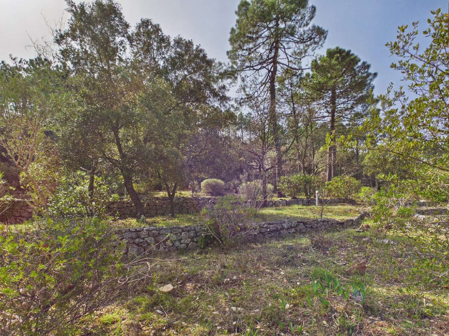 te koop villa Vidauban Var 3