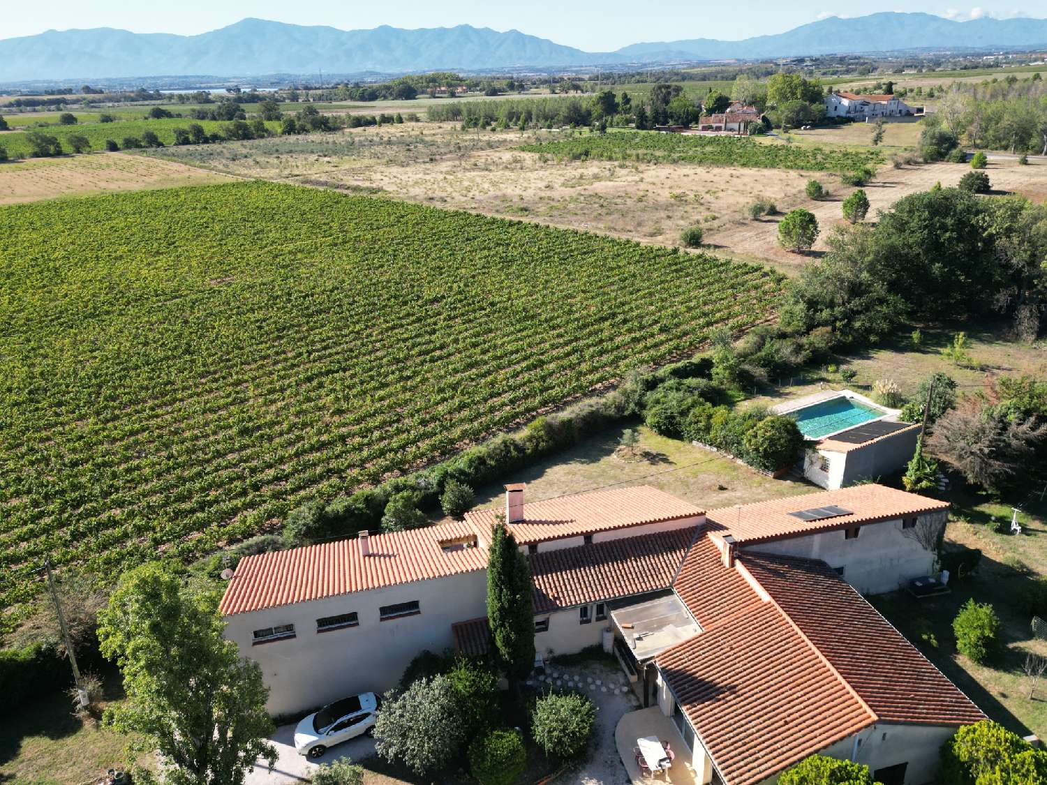  for sale villa Villeneuve-de-la-Raho Pyrénées-Orientales 3