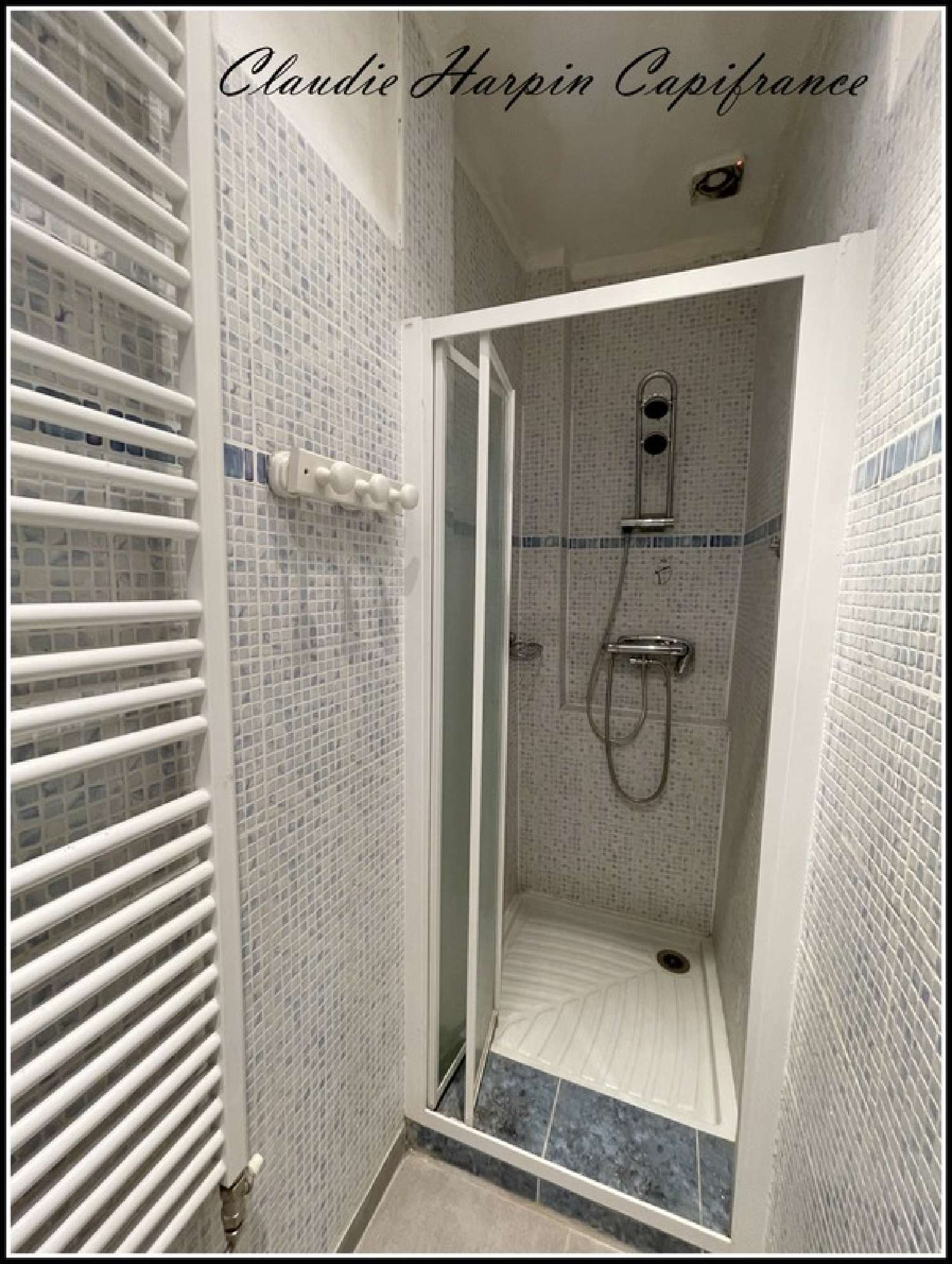 te koop dorpshuis Allonne Deux-Sèvres 6