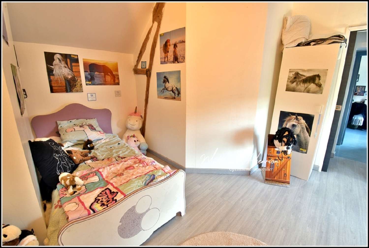  à vendre maison de village Anet Eure-et-Loir 7