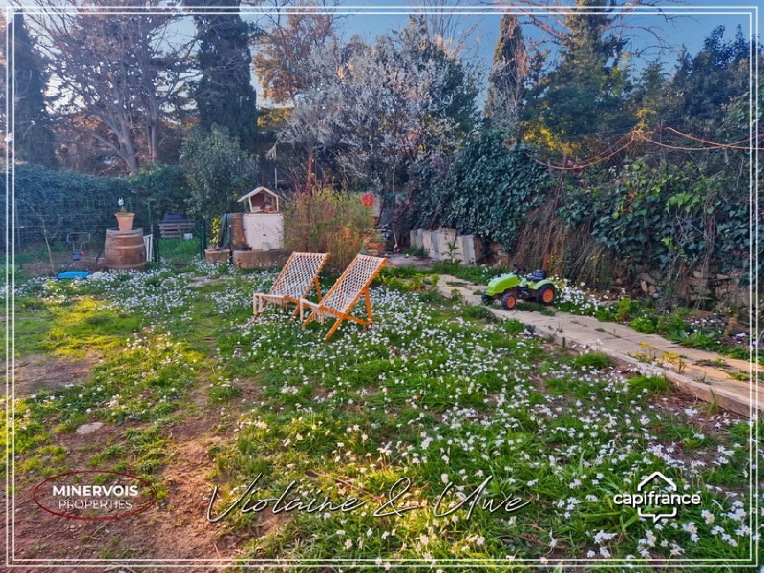  for sale village house Azille Aude 6