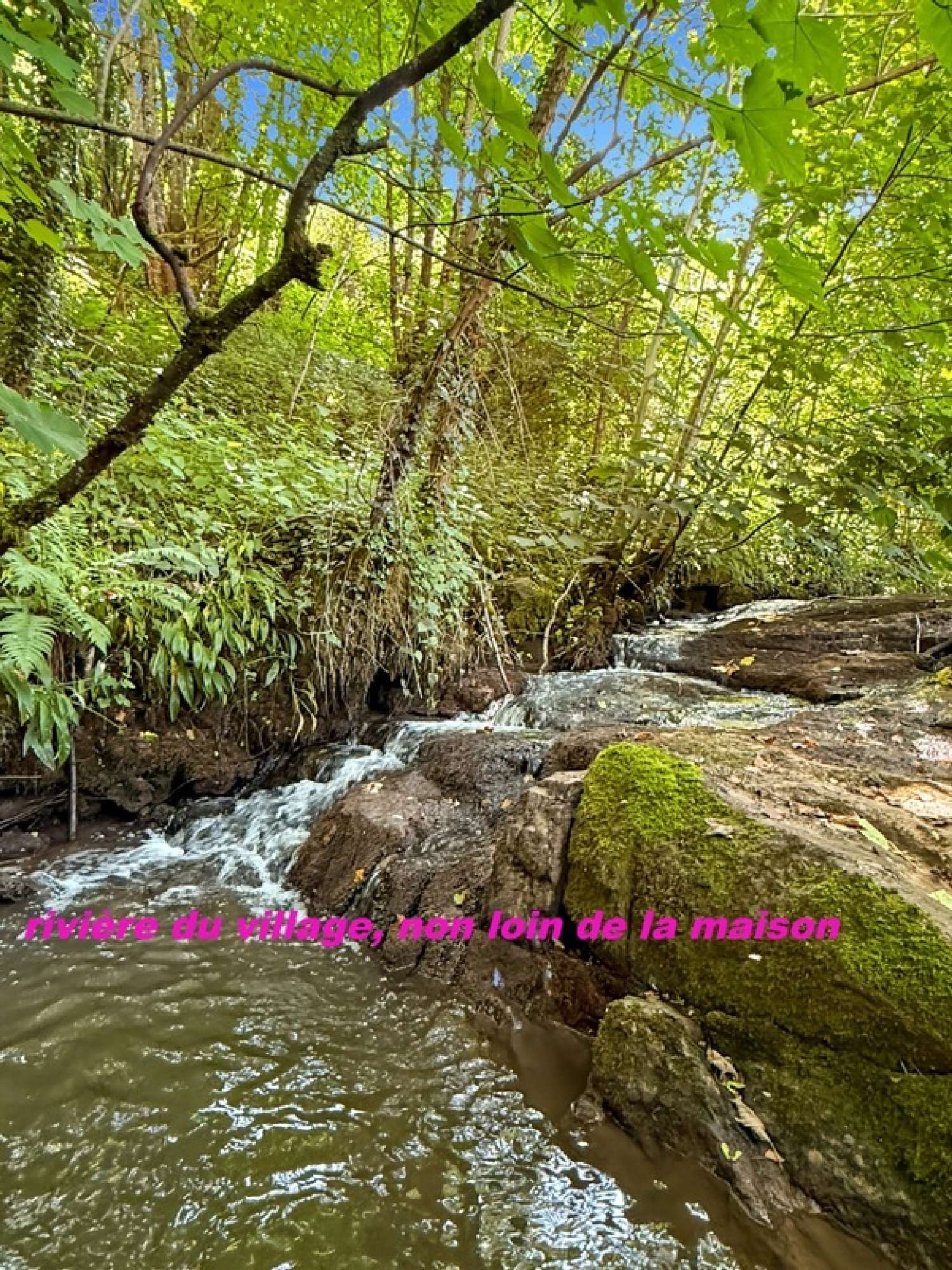  à vendre maison de village Dracy-lès-Couches Saône-et-Loire 2