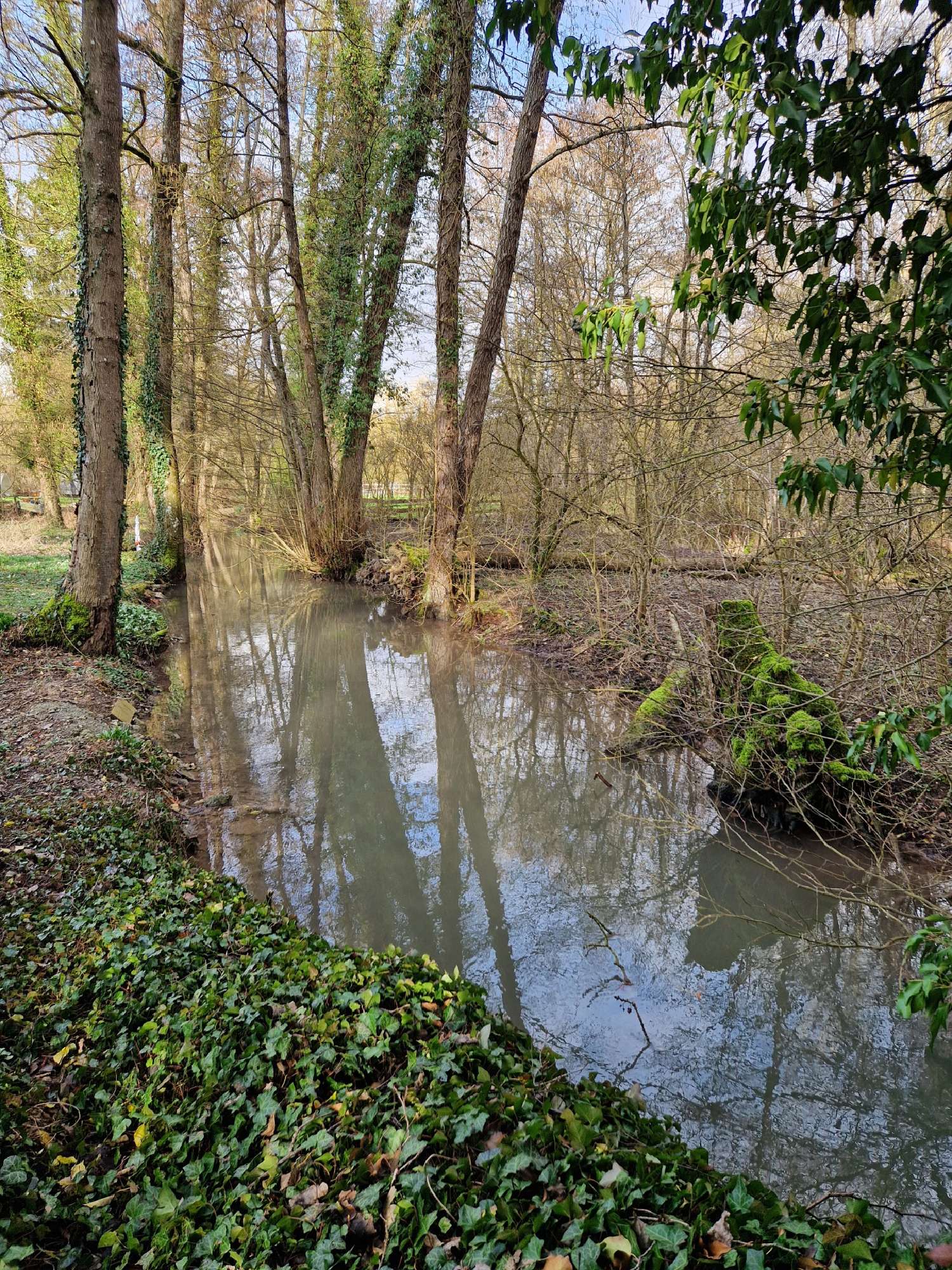  te koop dorpshuis Écury-le-Repos Marne 2