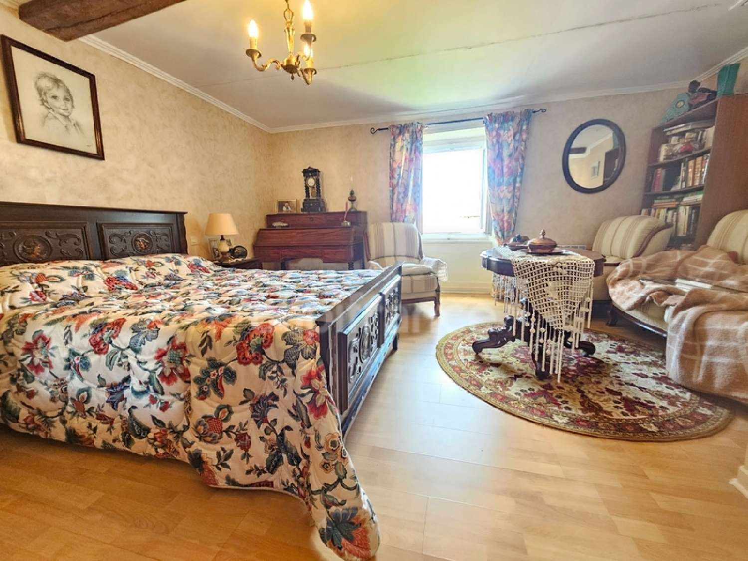 for sale village house Panissières Loire 8