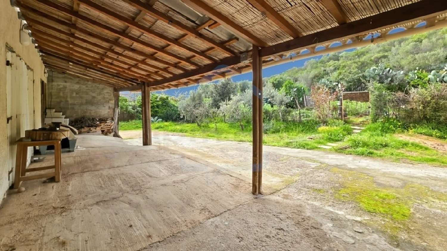  à vendre maison de village Sagone Corse-du-Sud 5