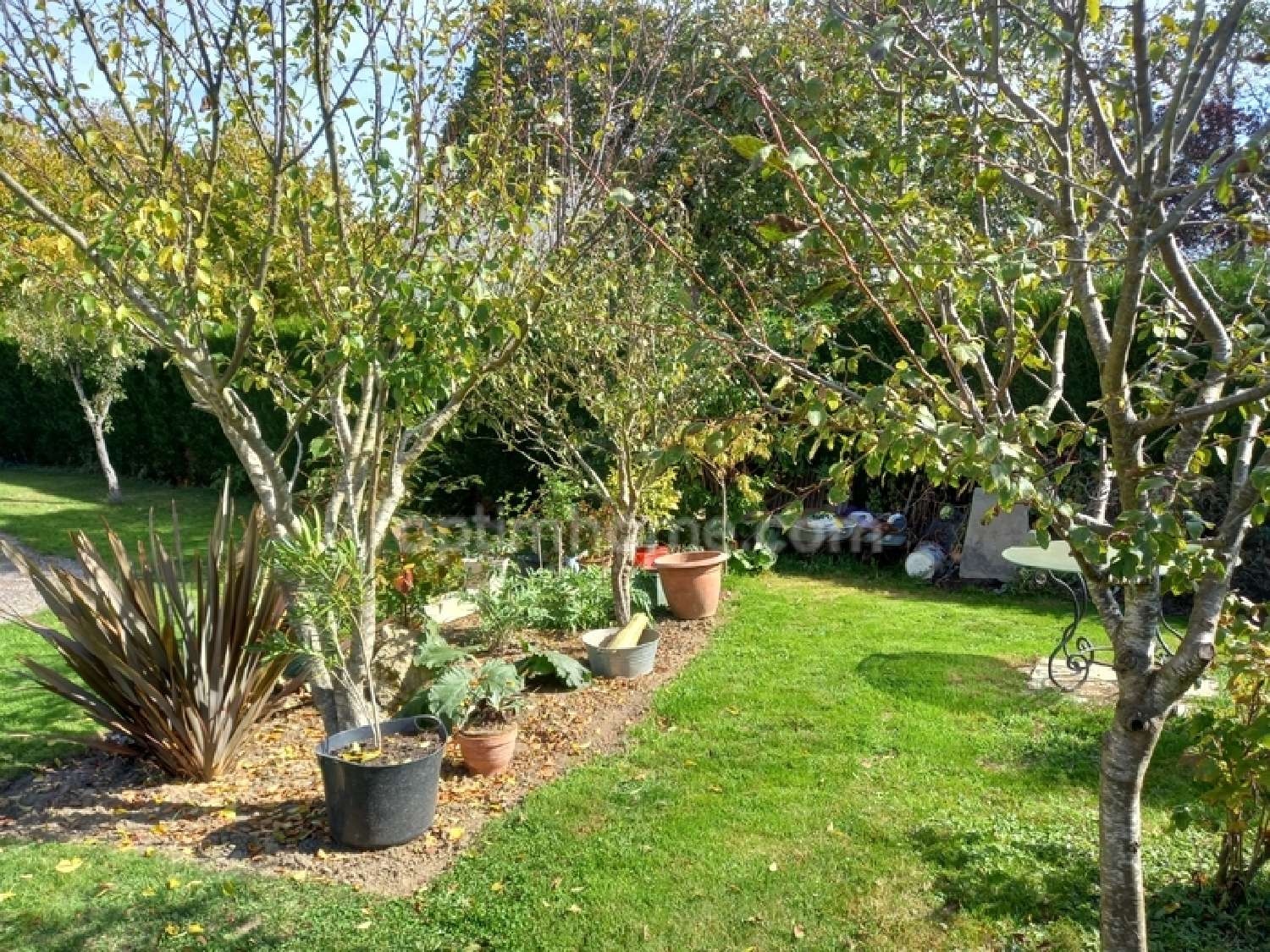  kaufen Dorfhaus Saint-Germain-le-Fouilloux Mayenne 5