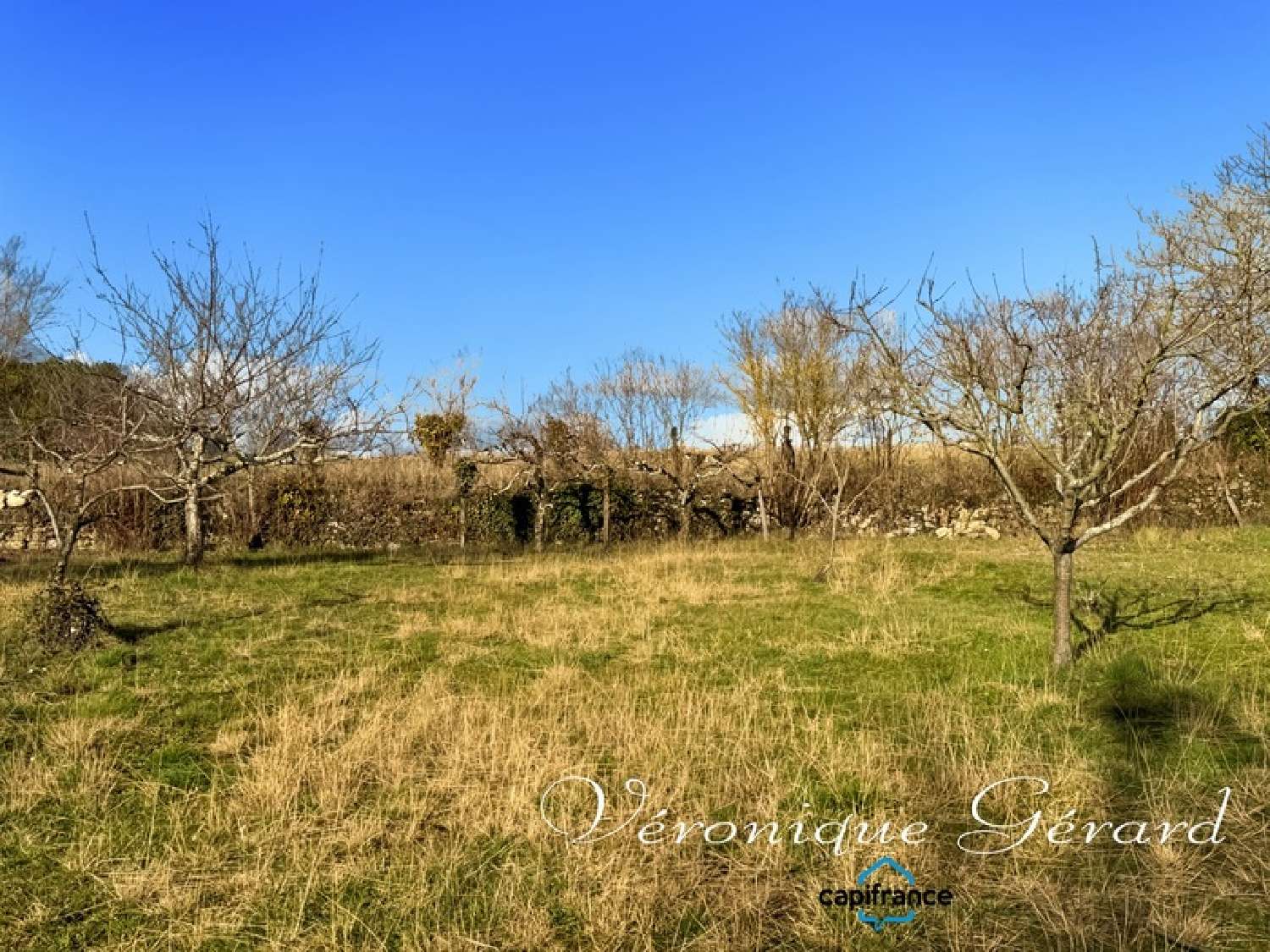 à vendre maison de village Saint-Vivien-de-Monségur Gironde 7