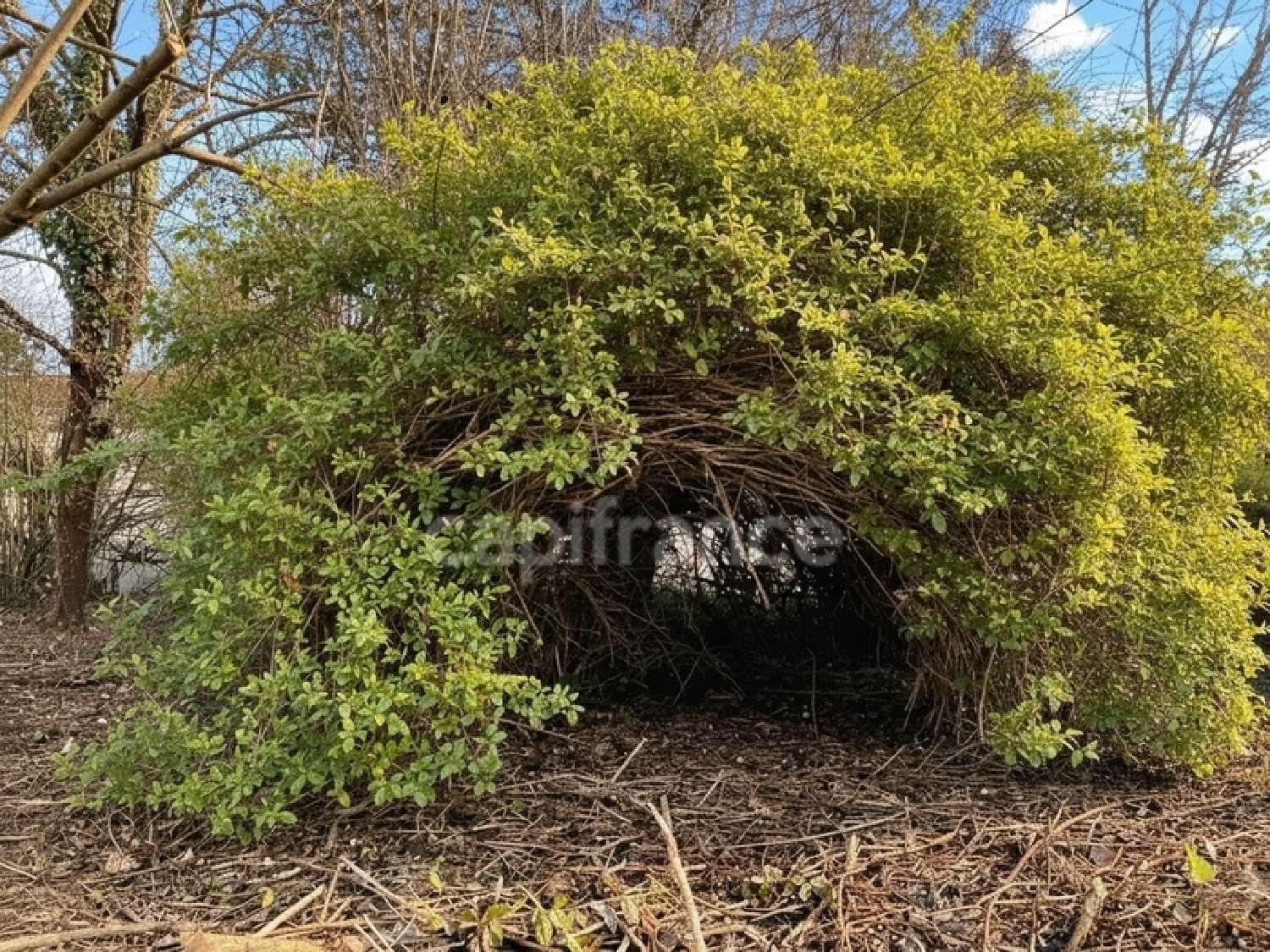  kaufen Dorfhaus Vanzac Charente-Maritime 2