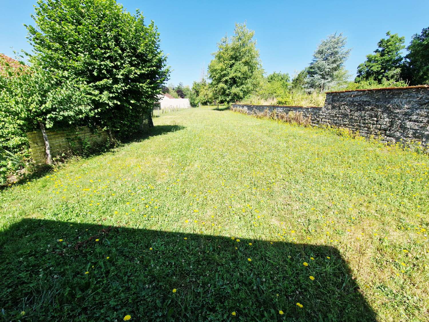 for sale village house Varennes-sur-Amance Haute-Marne 4