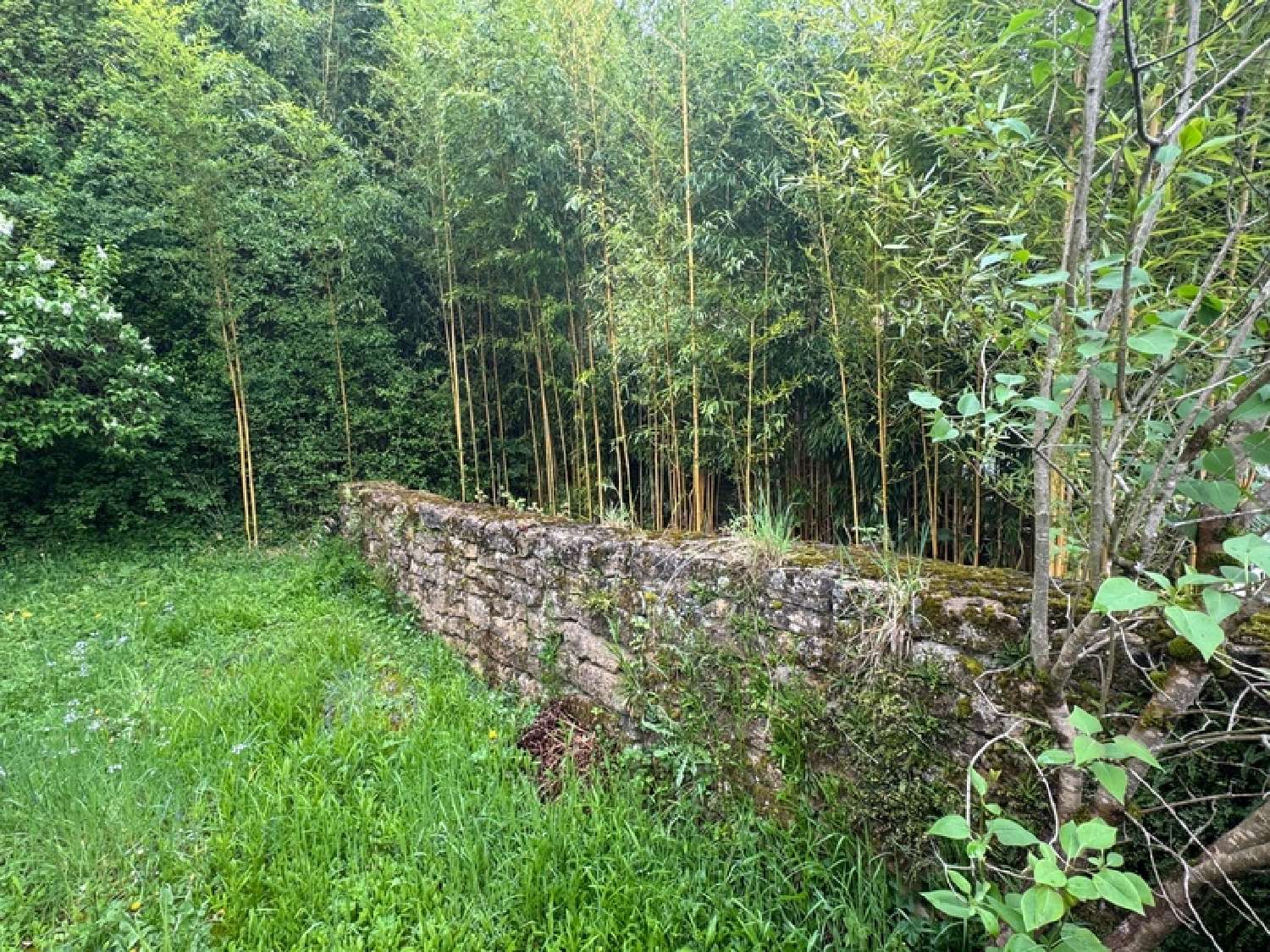  en venta casa de pueblo Vigneul-sous-Montmédy Meuse 4