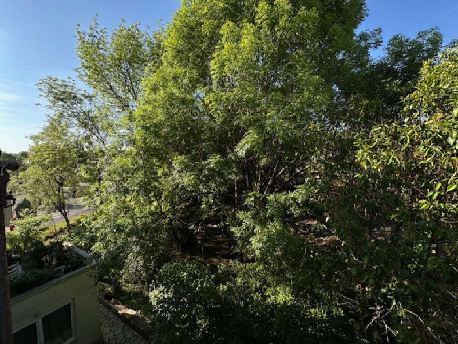  te koop appartement Angoulême Charente 5