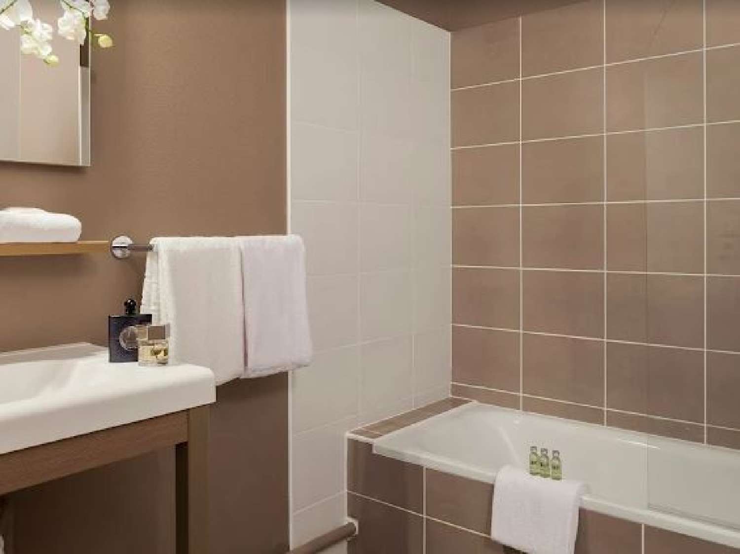  te koop appartement Annemasse Haute-Savoie 4