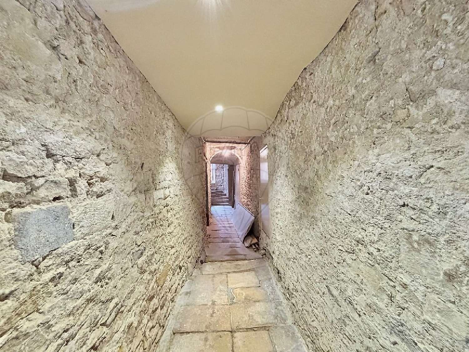  te koop appartement Anse Rhône 6