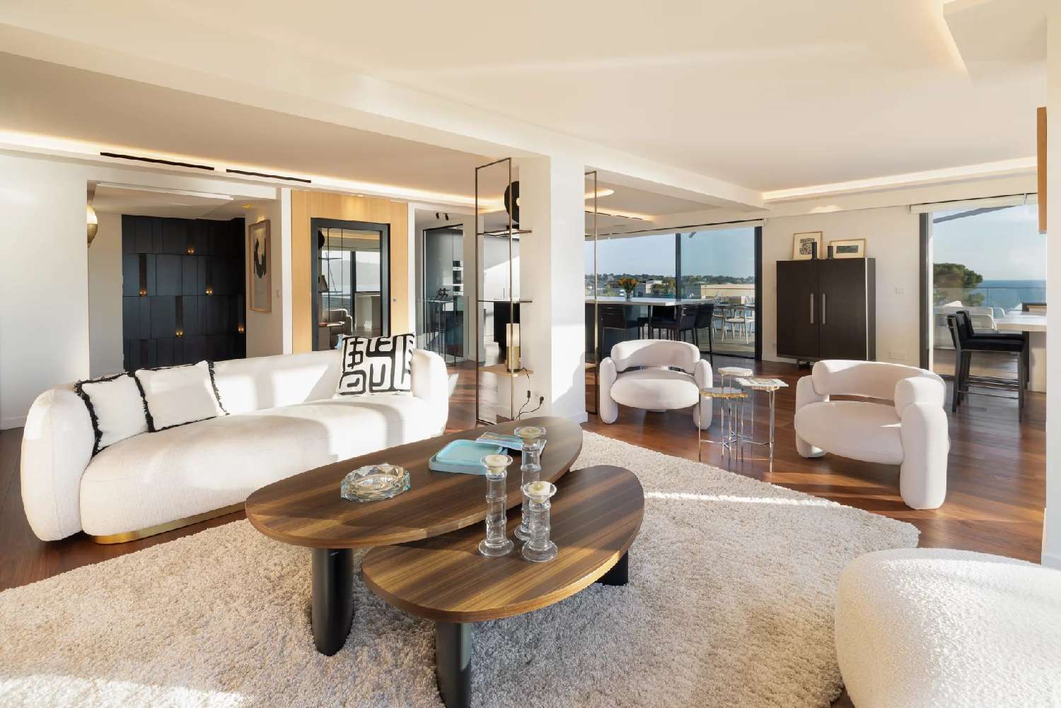 te koop appartement Antibes 06160 Alpes-Maritimes 8