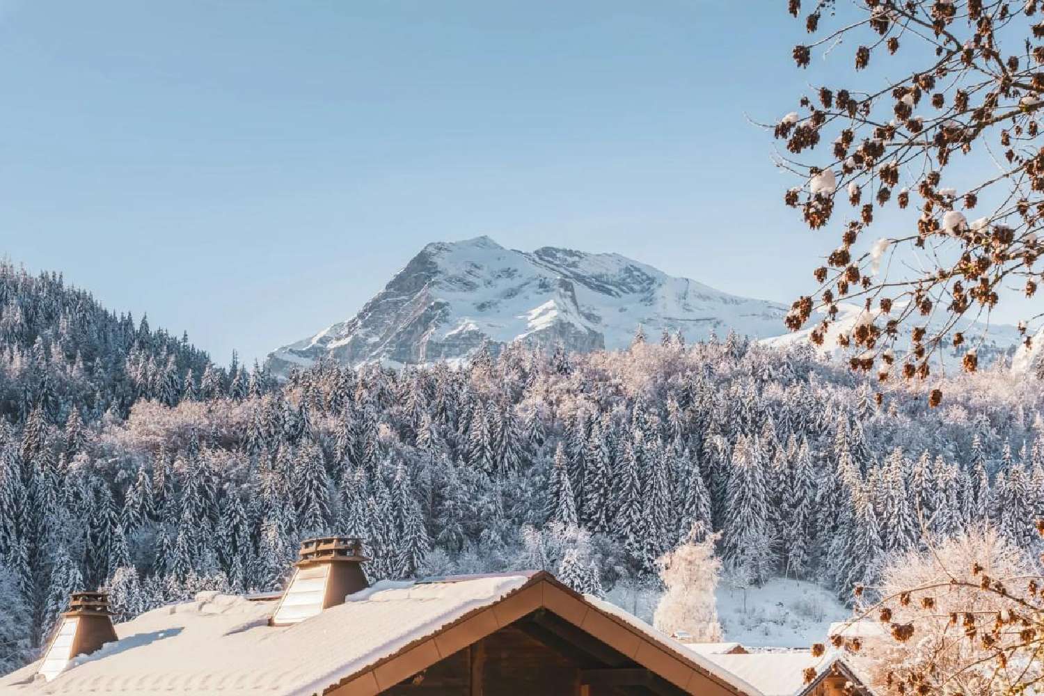  te koop appartement Arâches Haute-Savoie 1