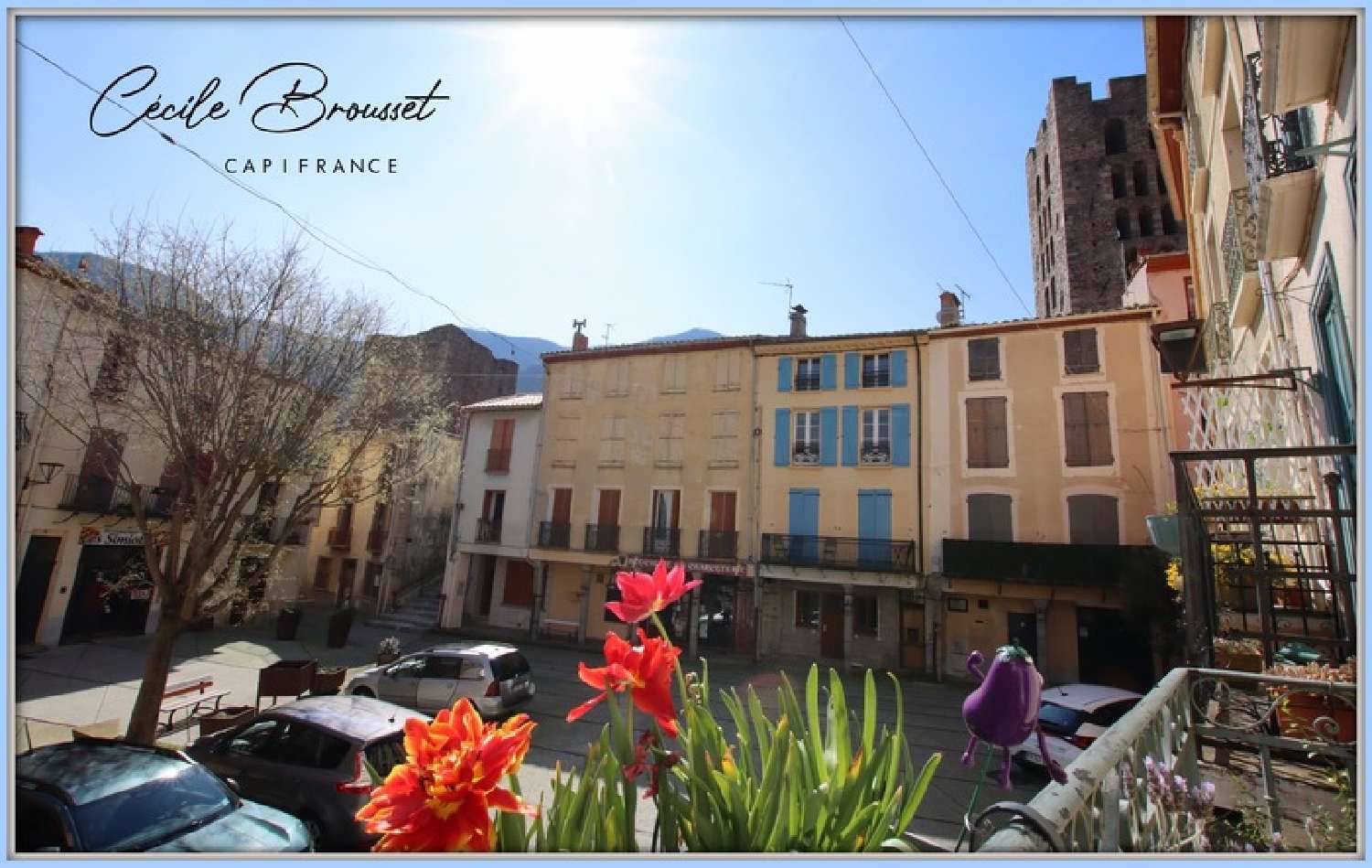  kaufen Wohnung/ Apartment Arles-sur-Tech Pyrénées-Orientales 4