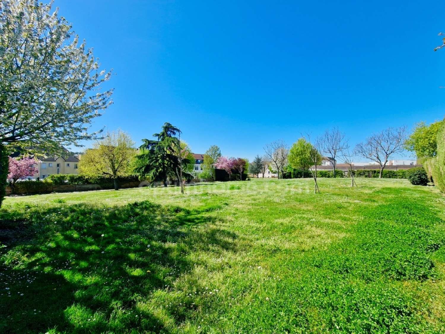  à vendre appartement Arpajon Essonne 6