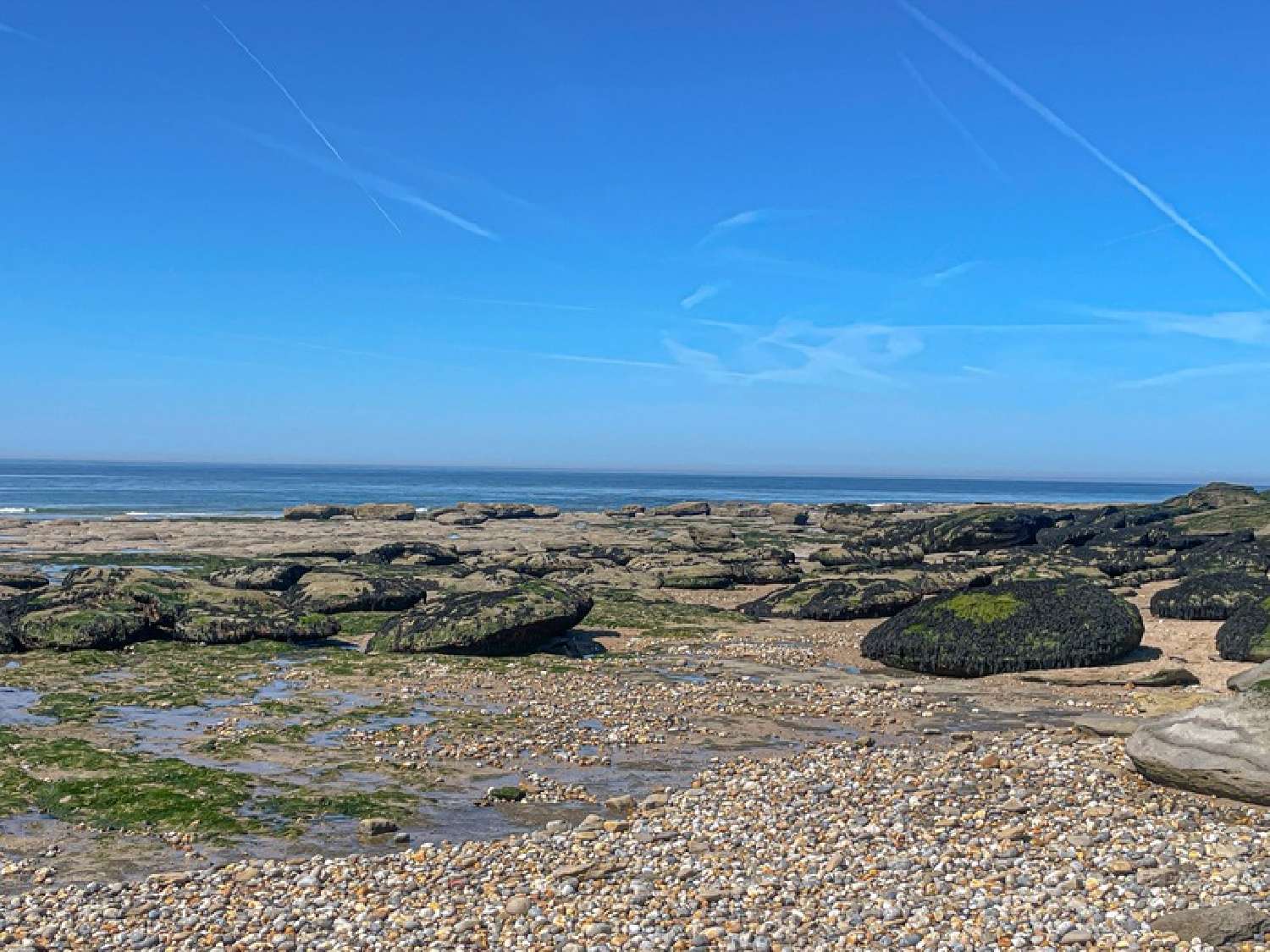  à vendre appartement Audresselles Pas-de-Calais 1