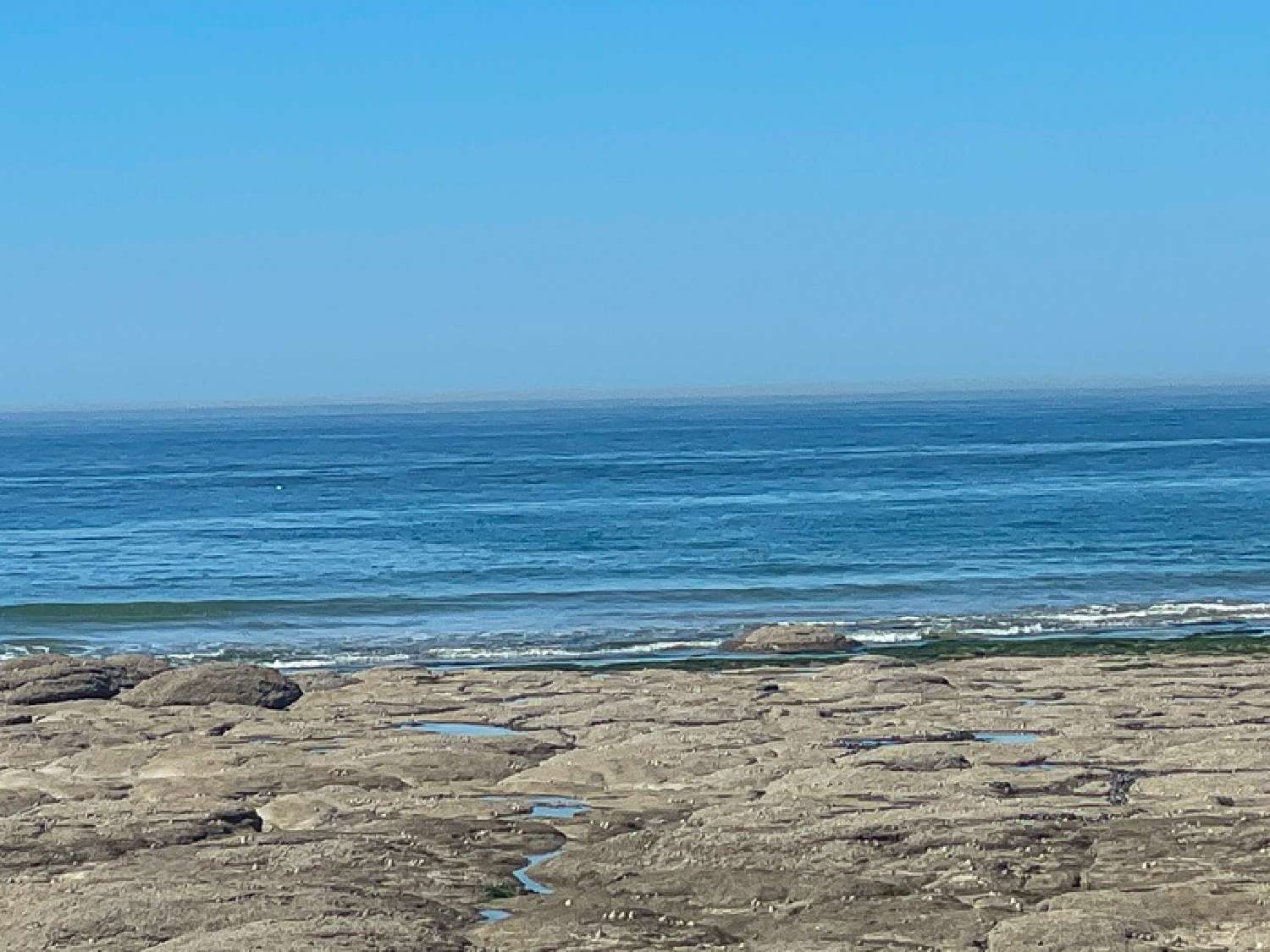  à vendre appartement Audresselles Pas-de-Calais 6