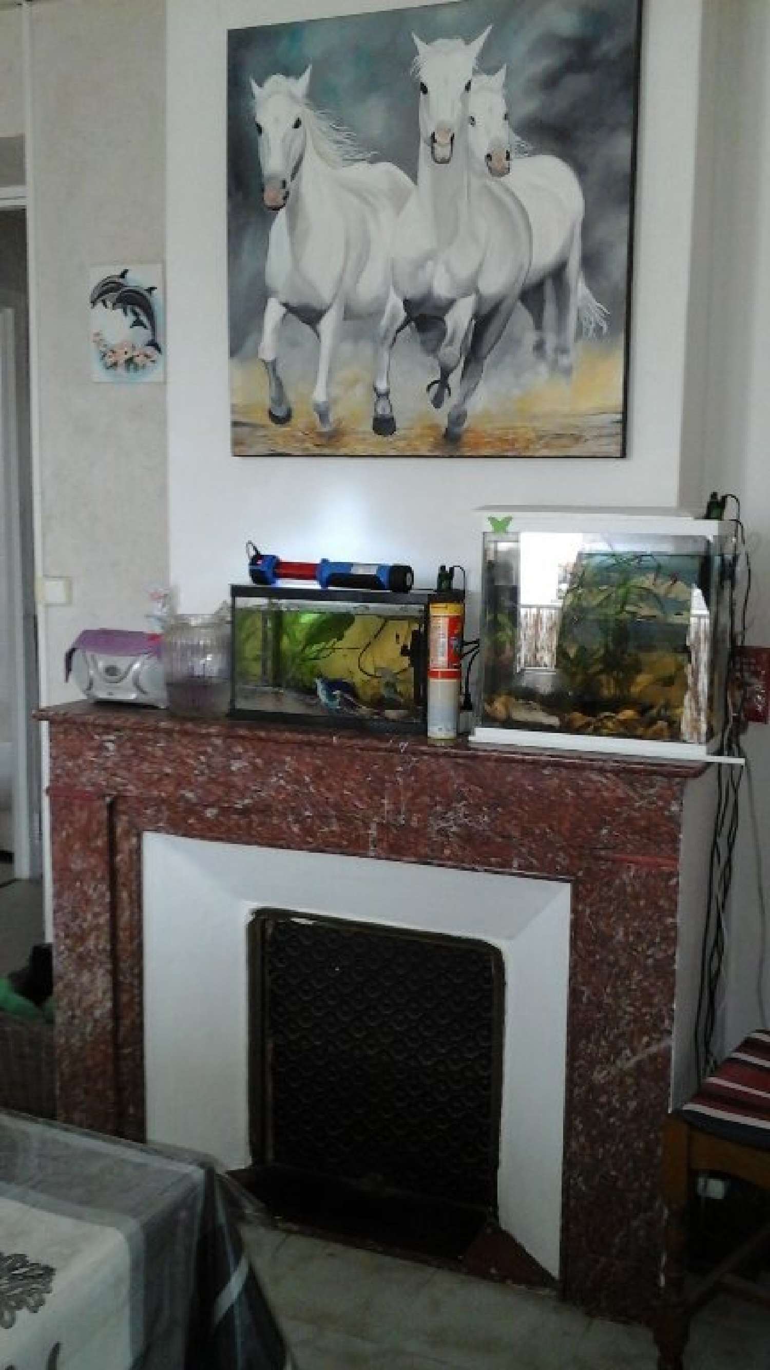  te koop appartement Béziers Hérault 6