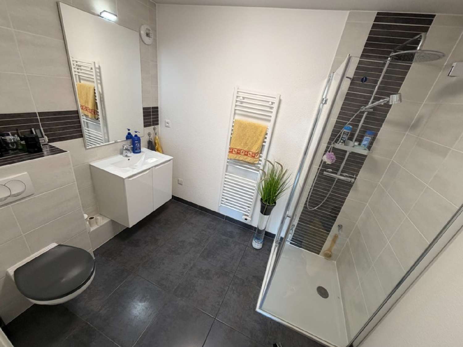  te koop appartement Bourgfelden Haut-Rhin 7