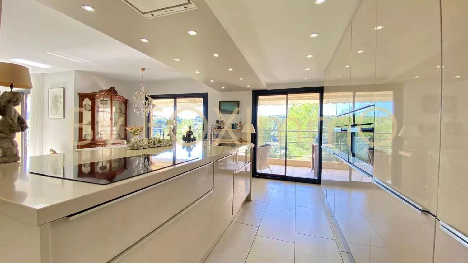  te koop appartement Cagnes-sur-Mer Alpes-Maritimes 1