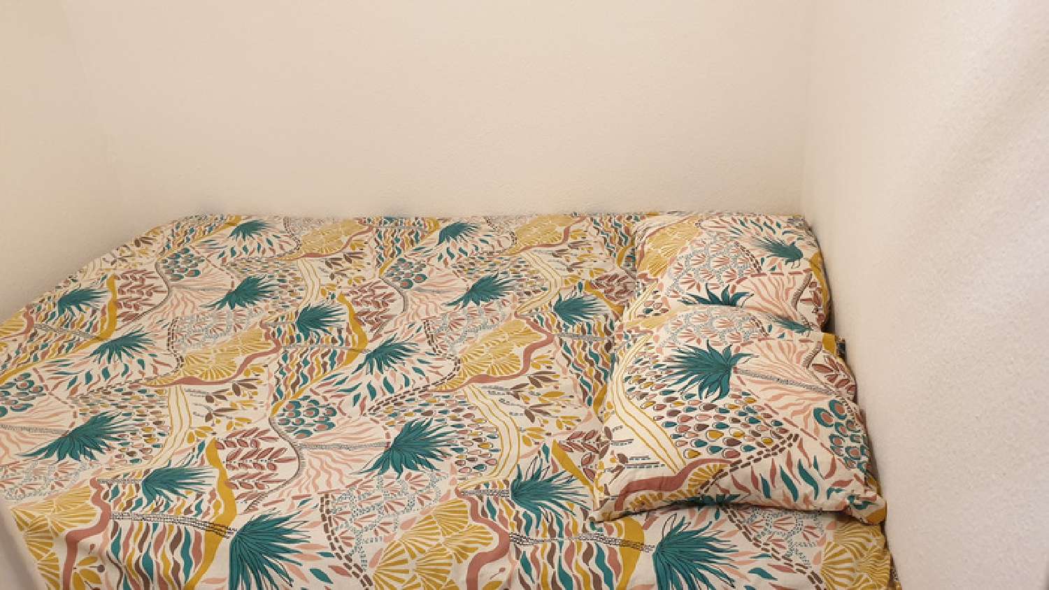  à vendre appartement Cannes La Bocca Alpes-Maritimes 6