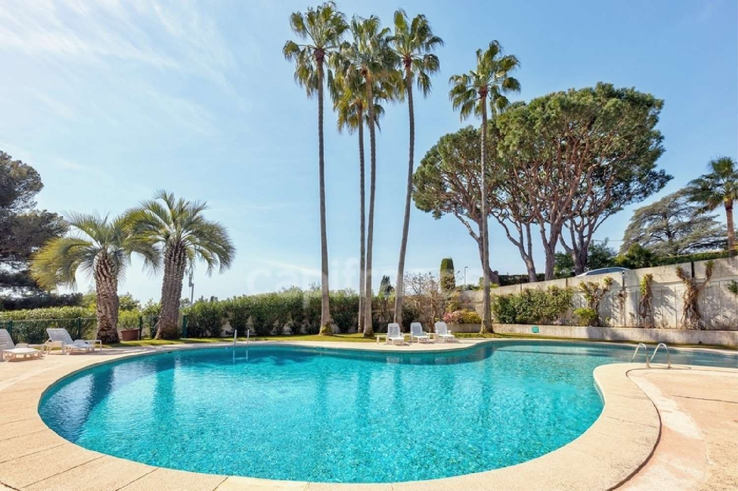  kaufen Wohnung/ Apartment Cannes Alpes-Maritimes 2