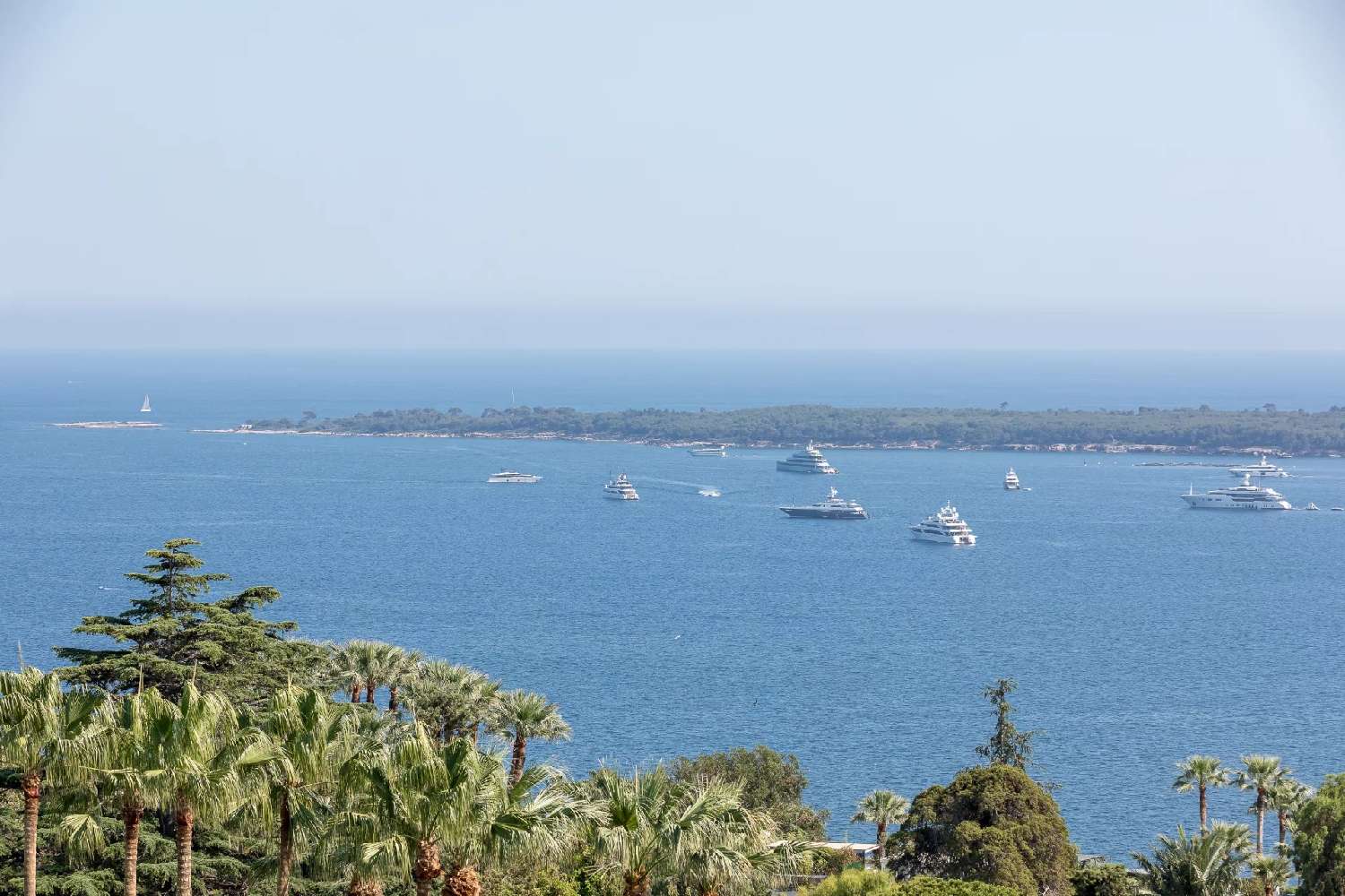 en venta apartamento Cannes Alpes-Maritimes 3