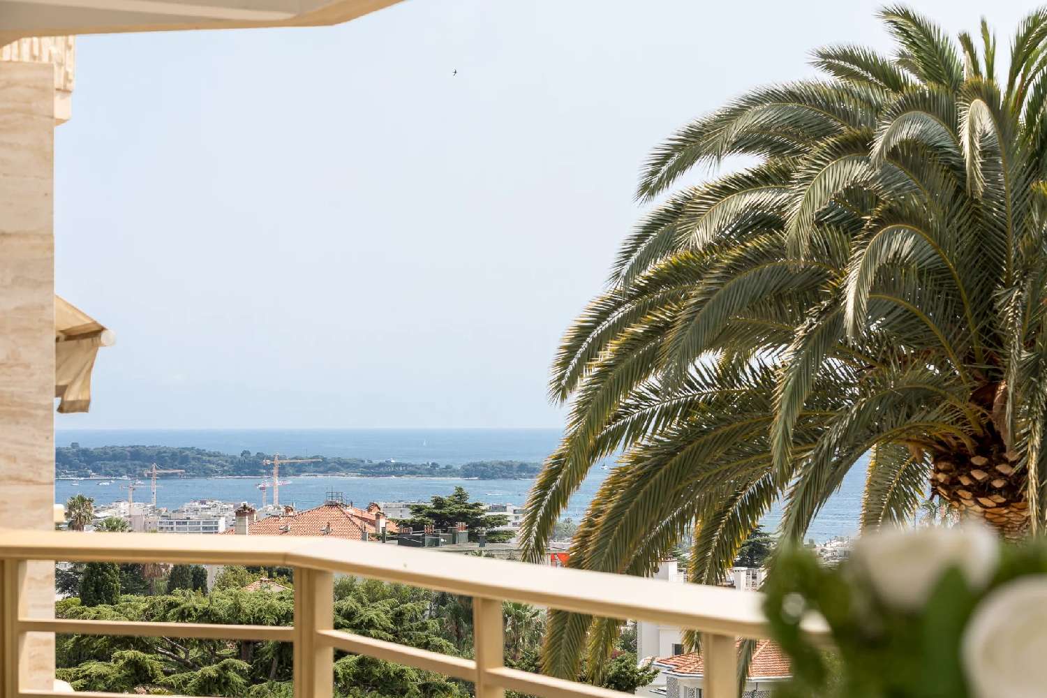  en venta apartamento Cannes Alpes-Maritimes 6