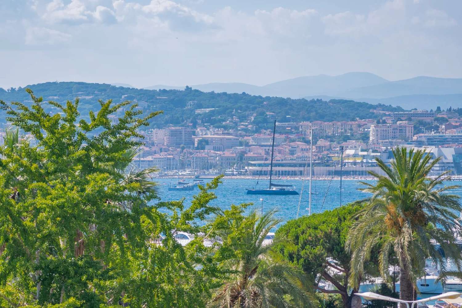  à vendre appartement Cannes Alpes-Maritimes 7