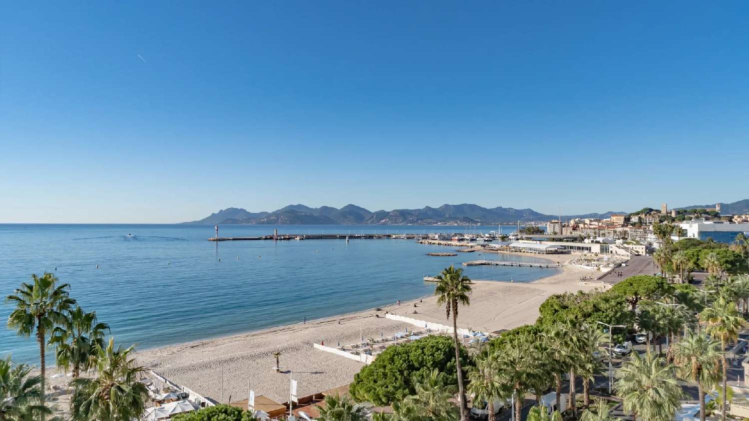 te koop appartement Cannes Alpes-Maritimes 2
