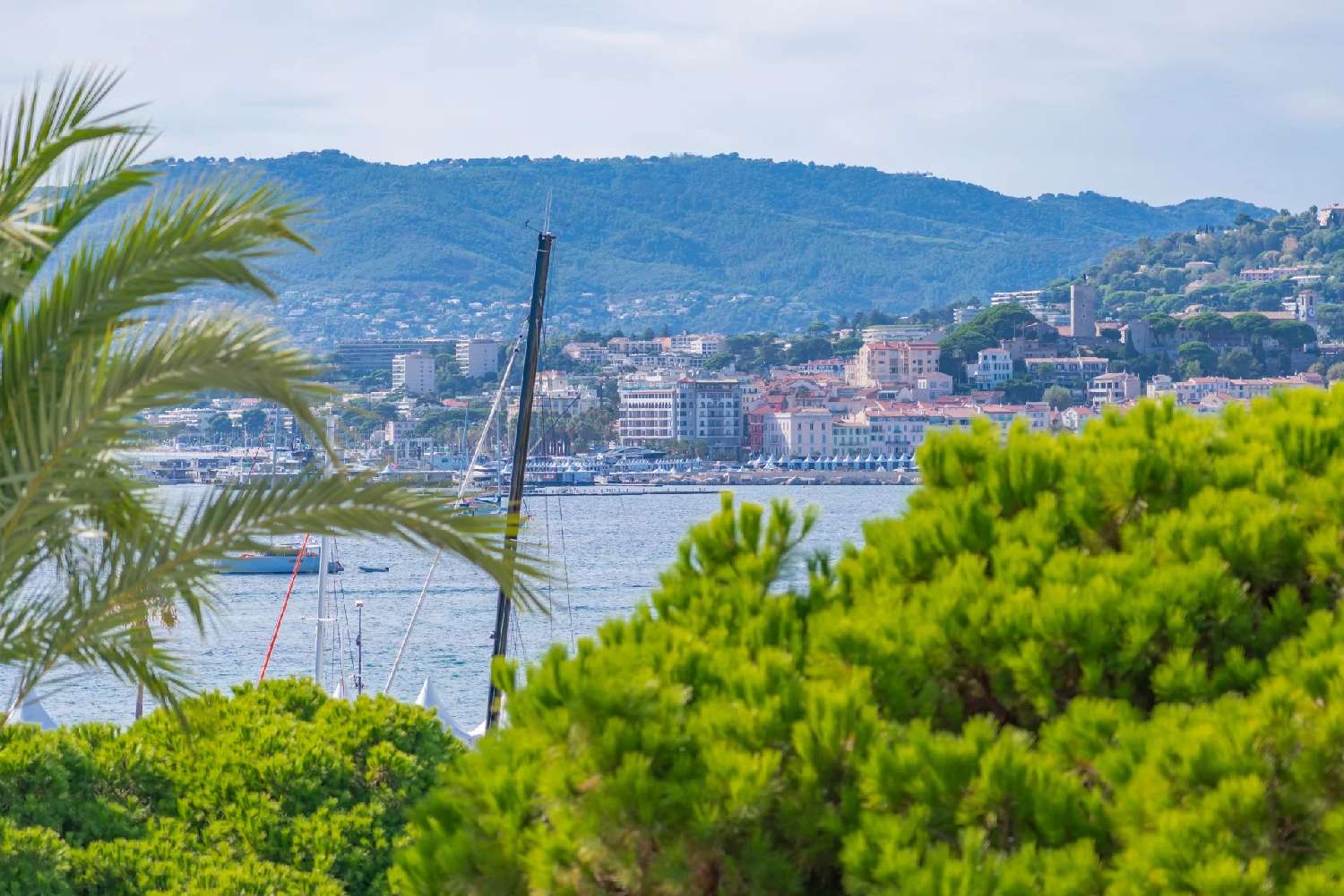  en venta apartamento Cannes Alpes-Maritimes 2