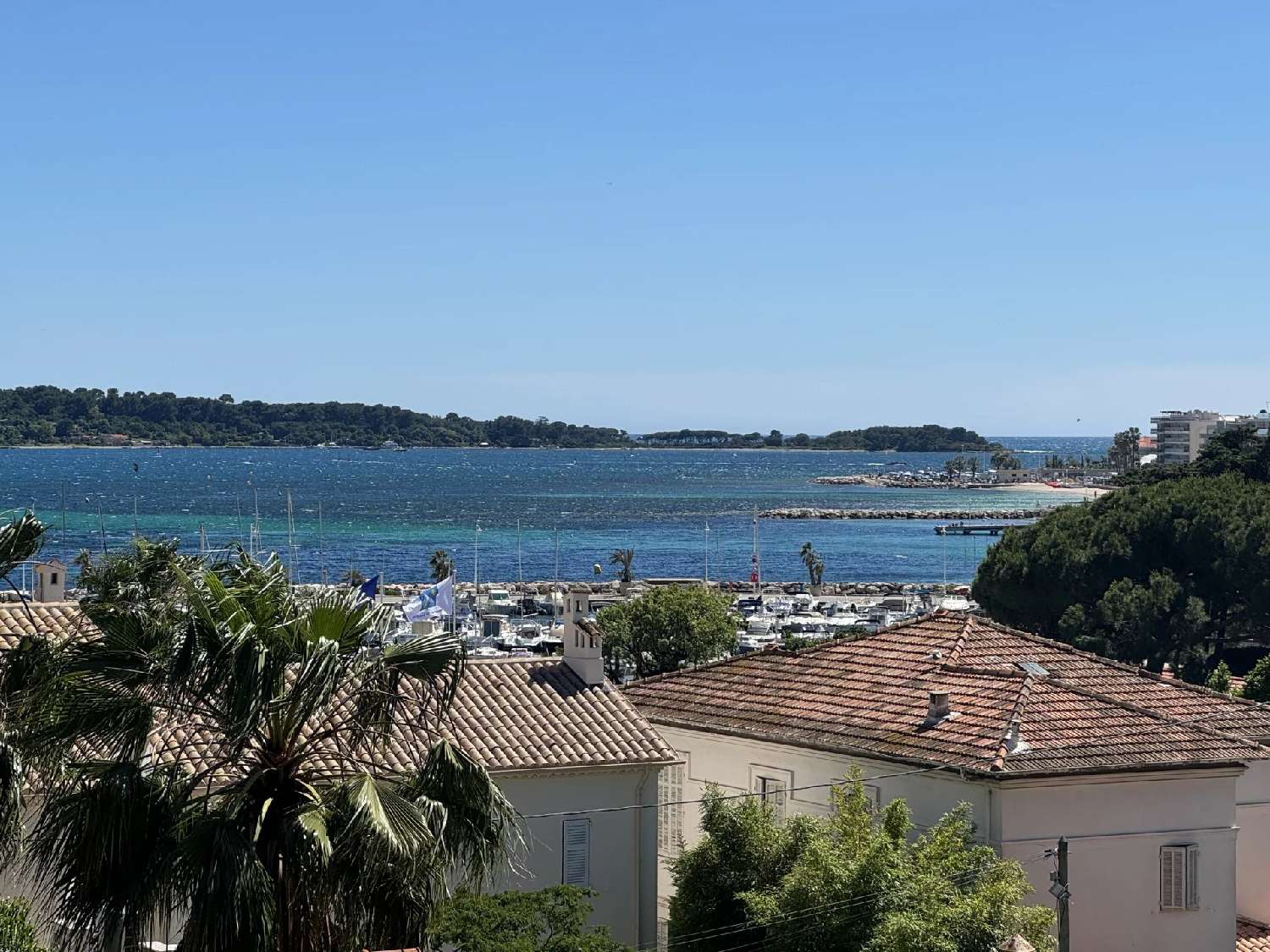 te koop appartement Cannes Alpes-Maritimes 1