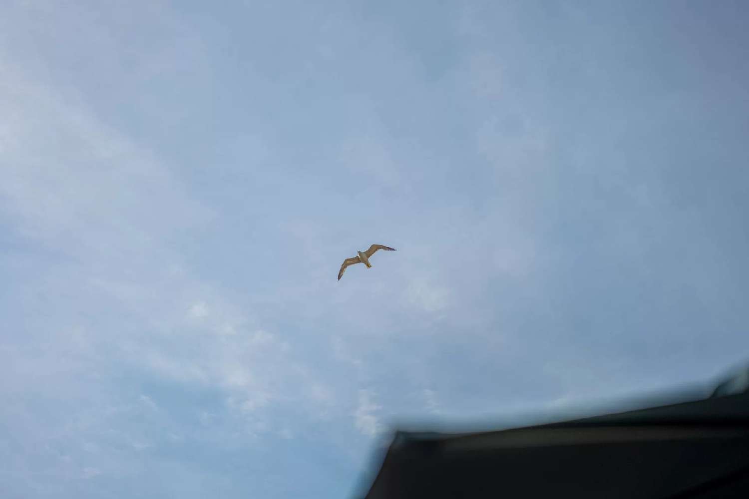  en venta apartamento Cannes Alpes-Maritimes 3