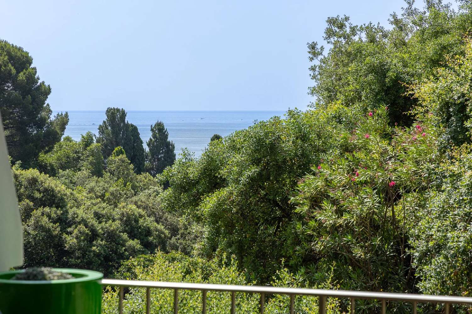  en venta apartamento Cannes Alpes-Maritimes 1