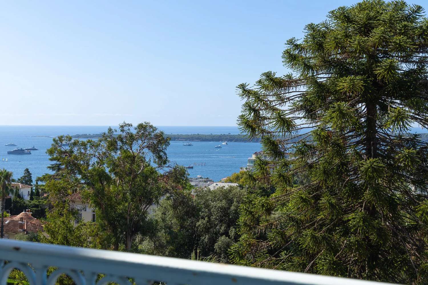  kaufen Wohnung/ Apartment Cannes Alpes-Maritimes 4